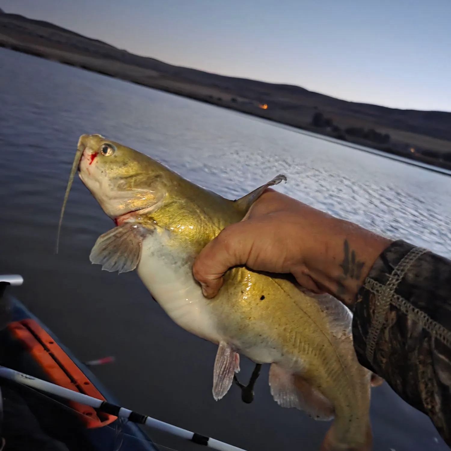 catch