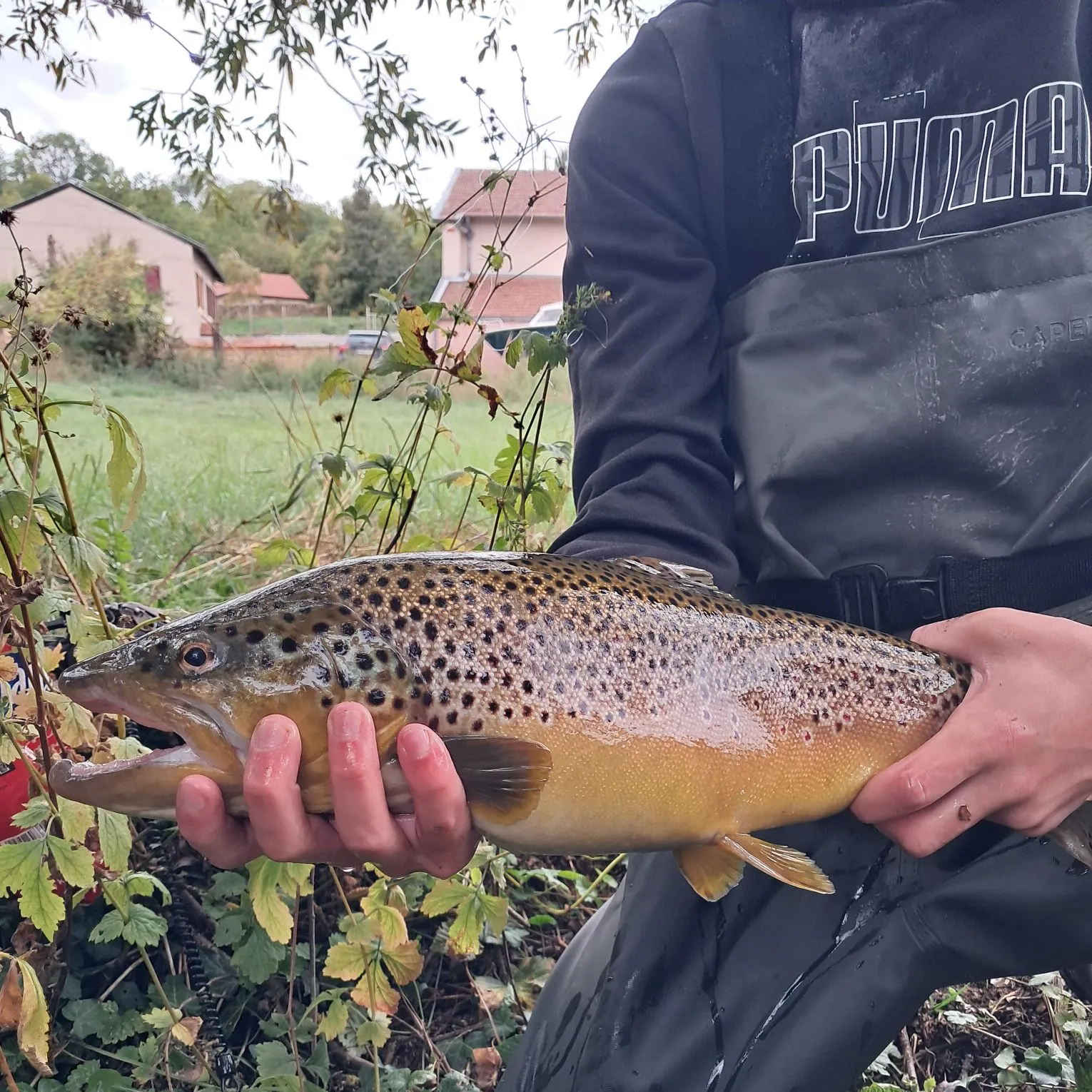 Fish caught on Fishbrain