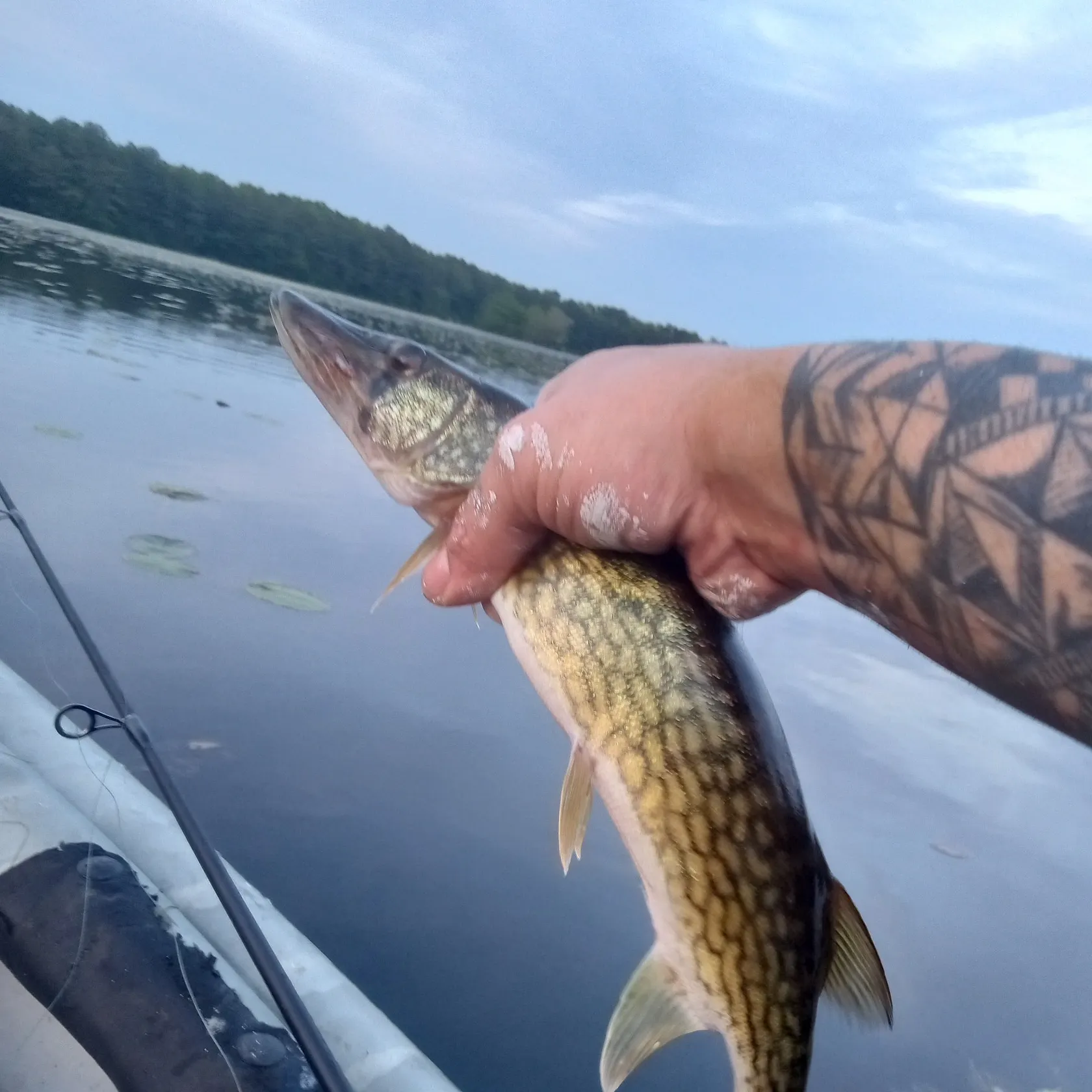 recently logged catches
