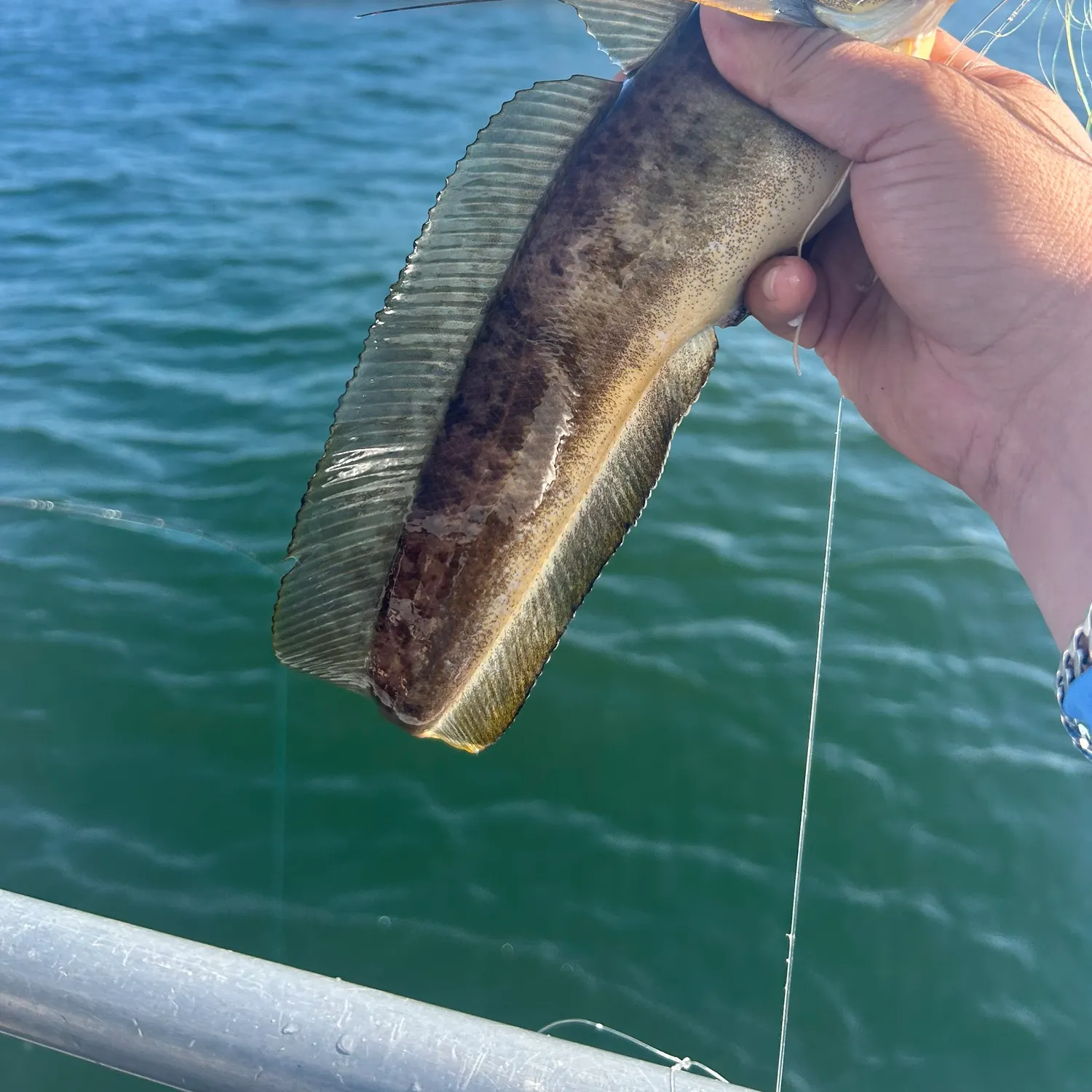 most liked catch image