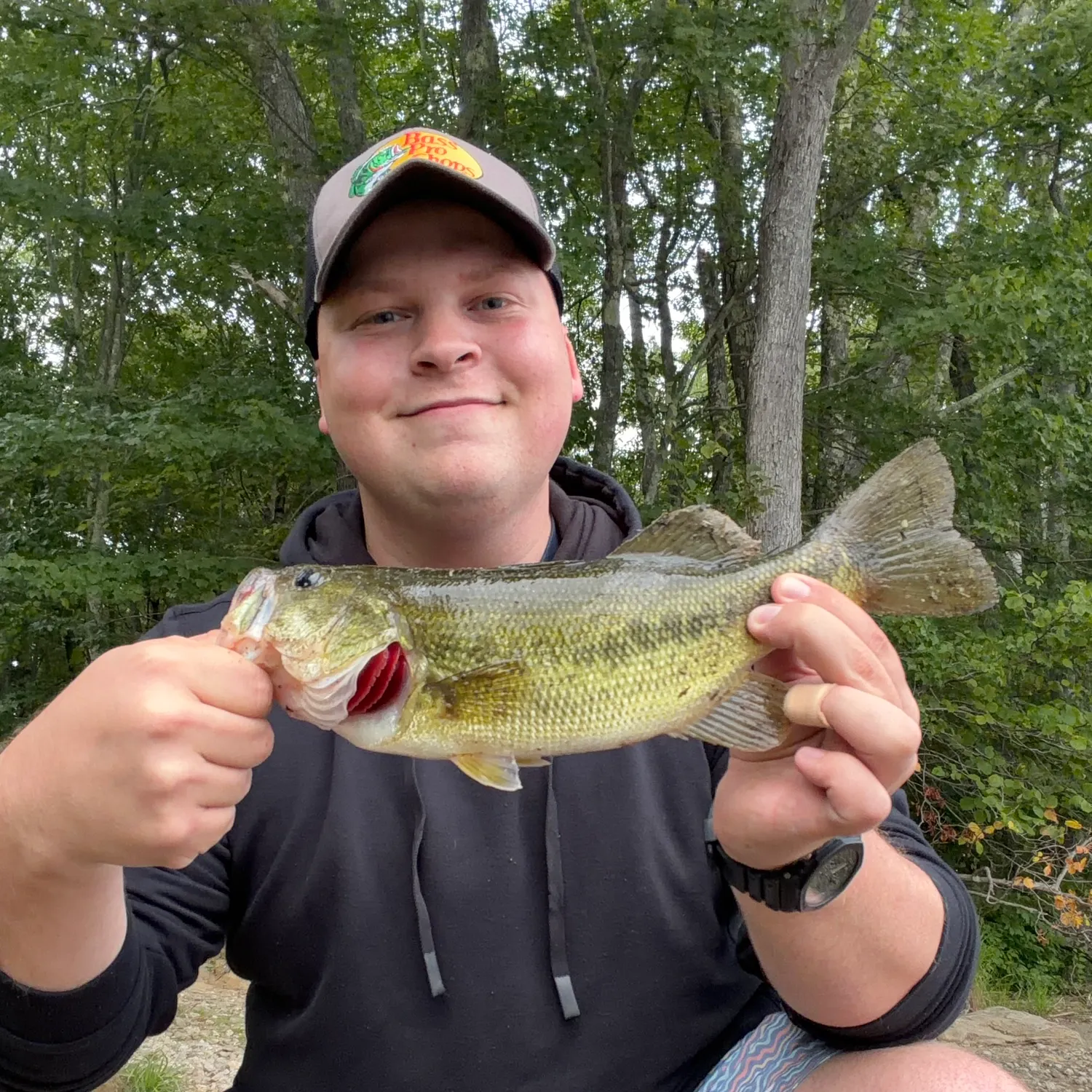 Largemouth bass caught on Fishbrain