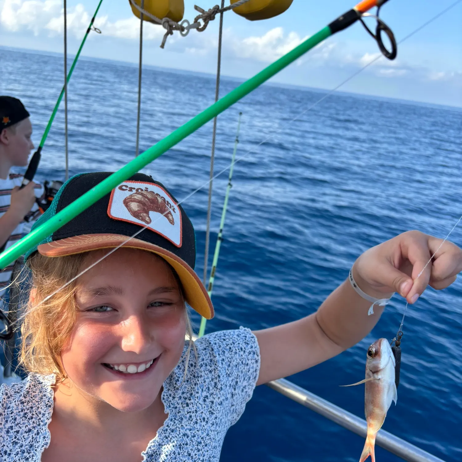 Goldlined seabream caught on Fishbrain