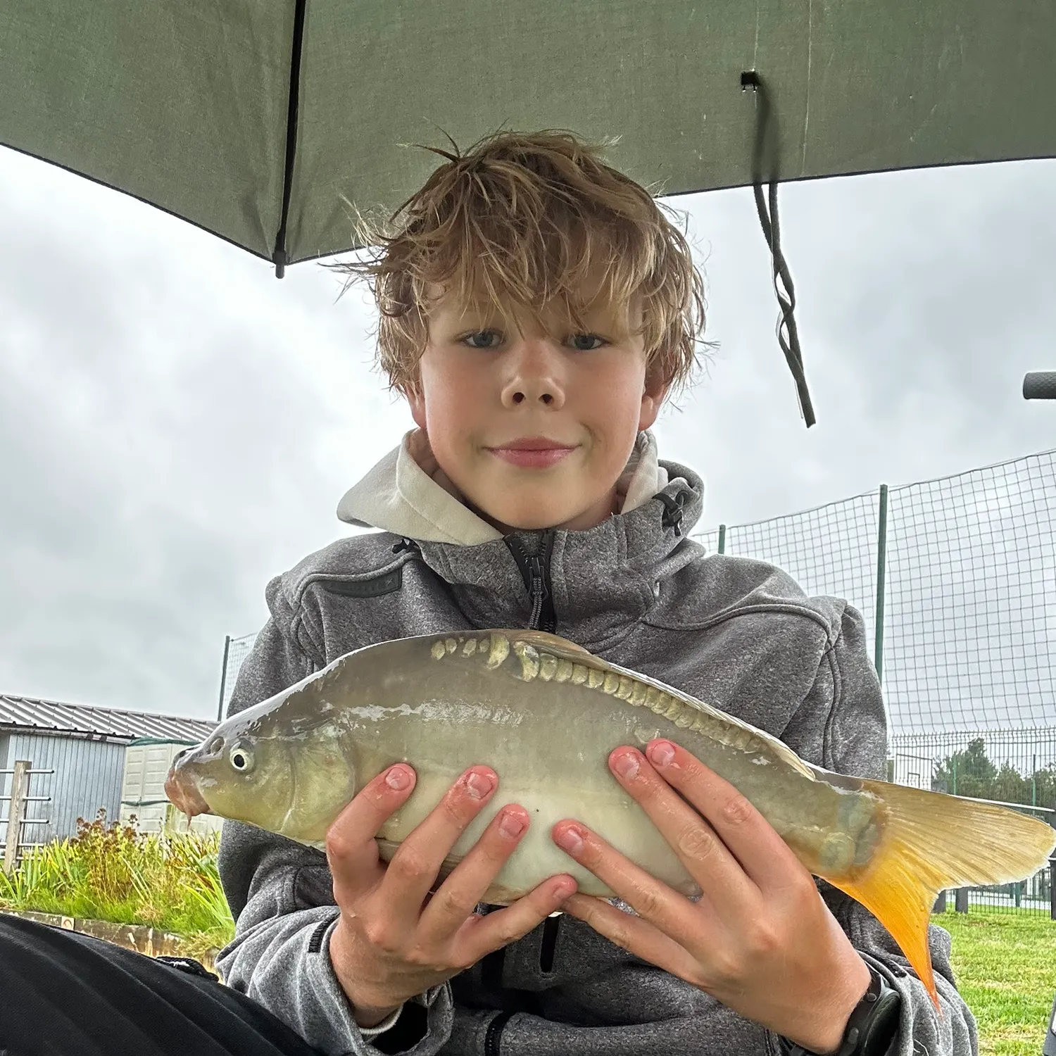 Leather carp caught on Fishbrain