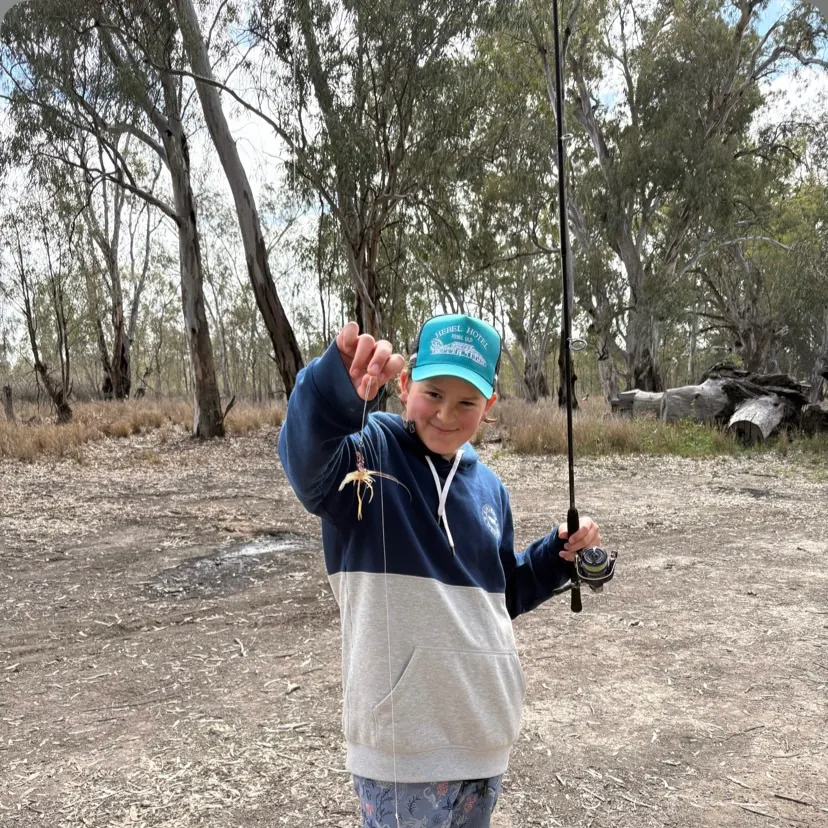 The most recent Shrimp scad catches on Fishbrain