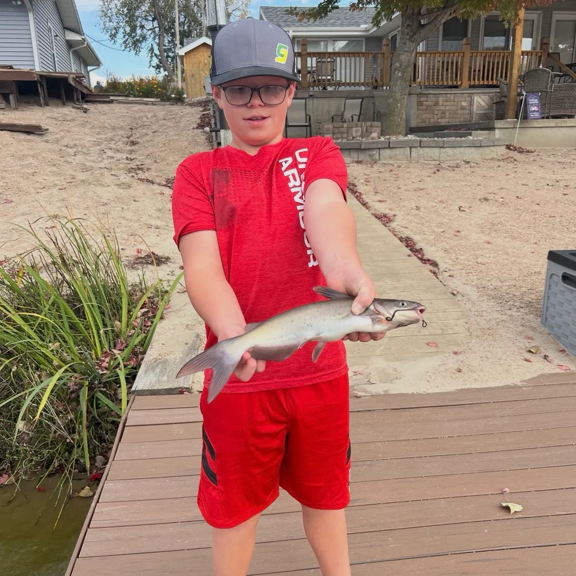 Channel catfish caught on Fishbrain