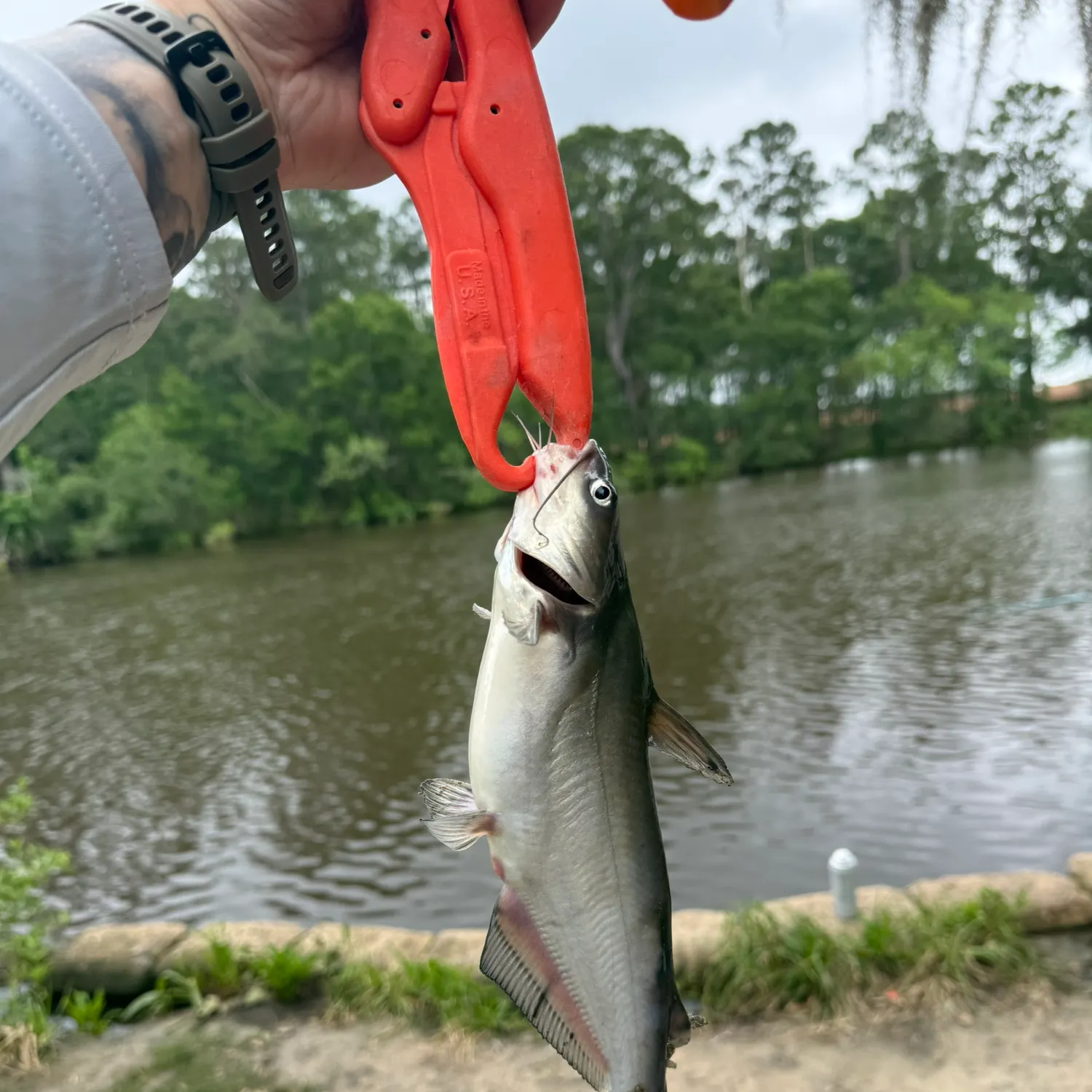 catch