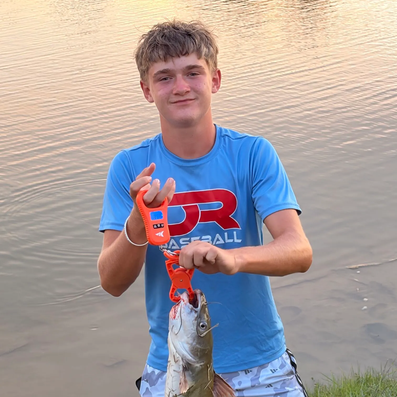 Channel catfish caught on Fishbrain