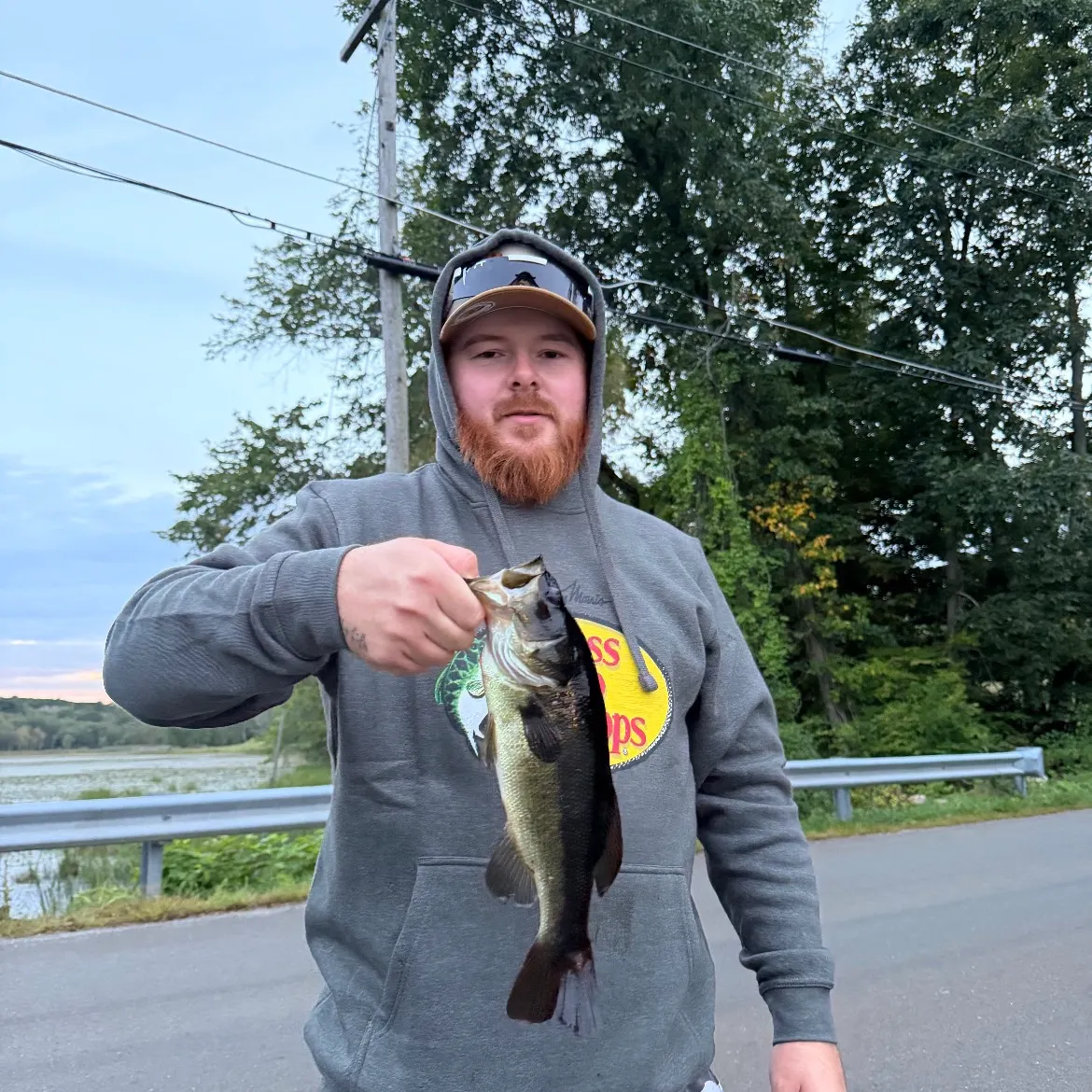 Largemouth bass caught on Fishbrain