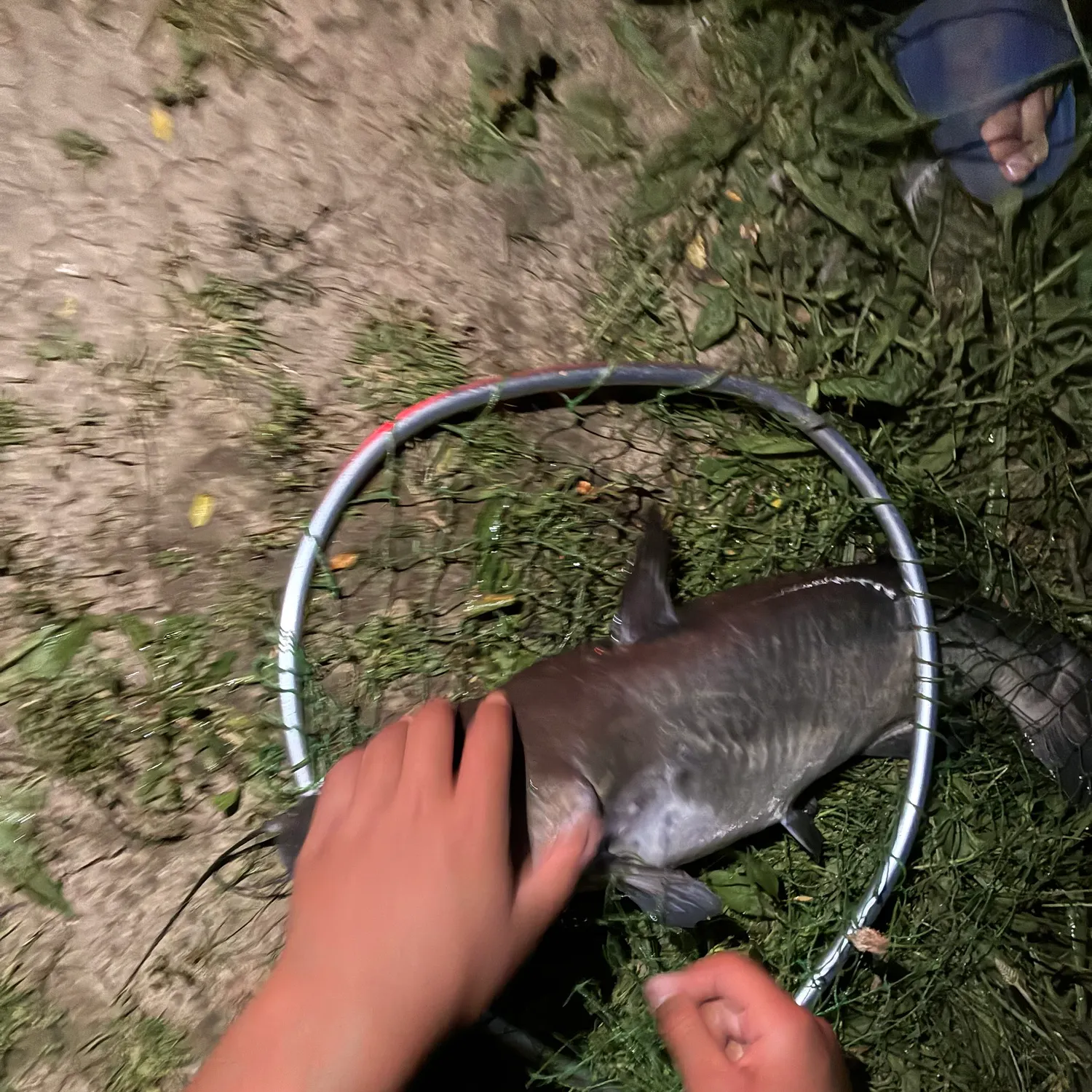 catch