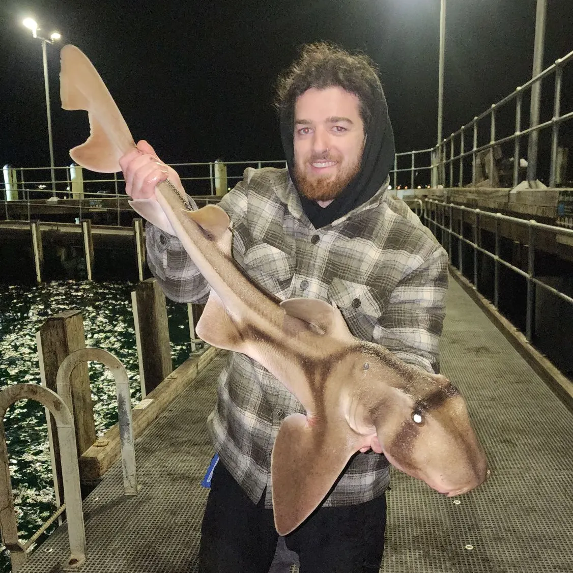 The most recent Port Jackson shark catches on Fishbrain