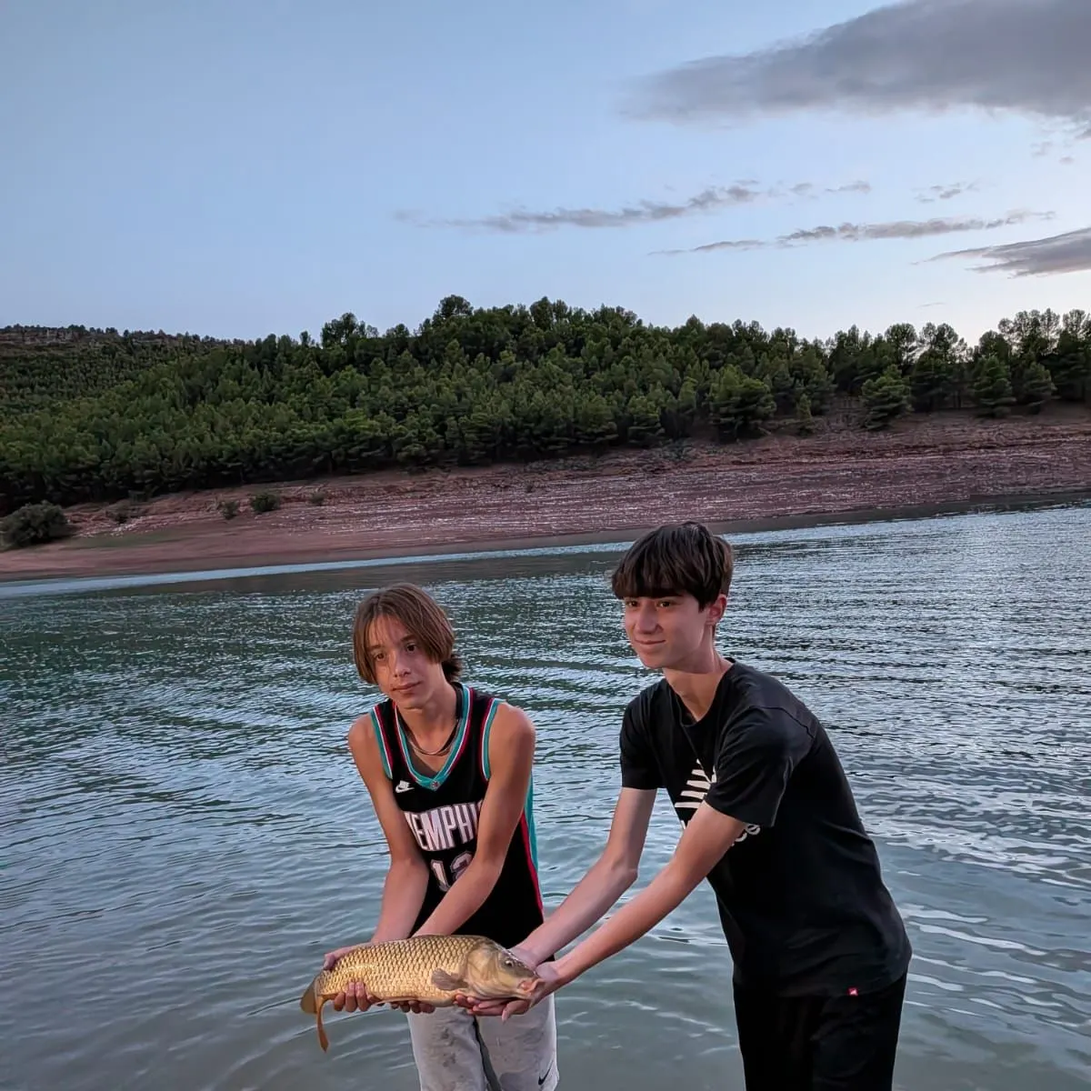 Common carp caught on Fishbrain