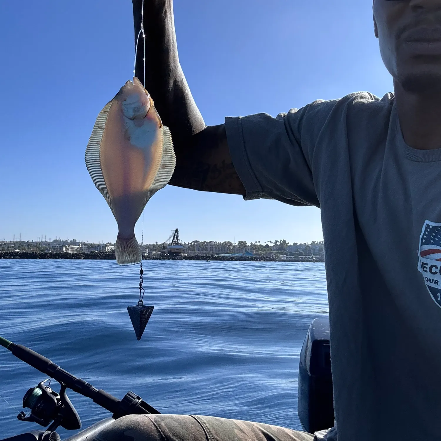 The most recent Pacific sanddab catches on Fishbrain