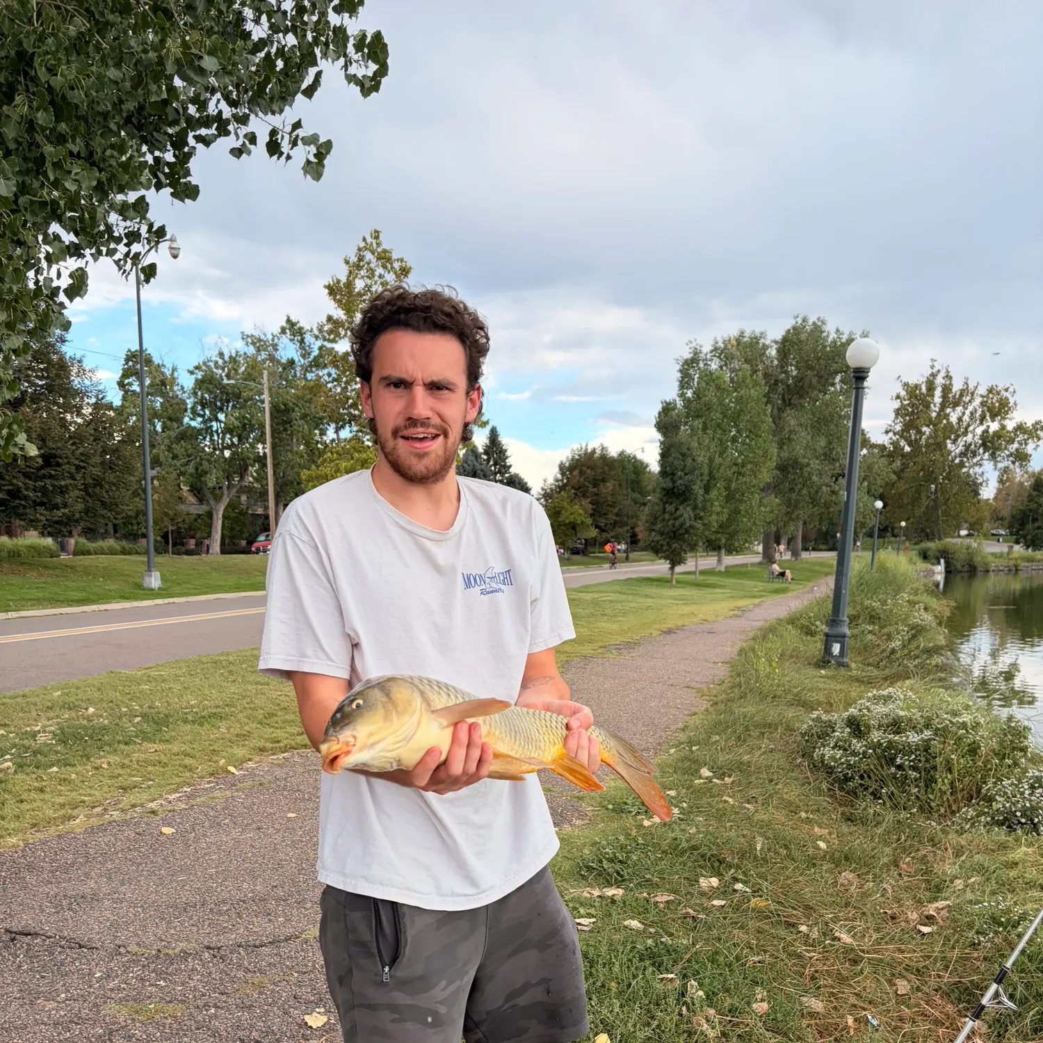 Common carp caught on Fishbrain