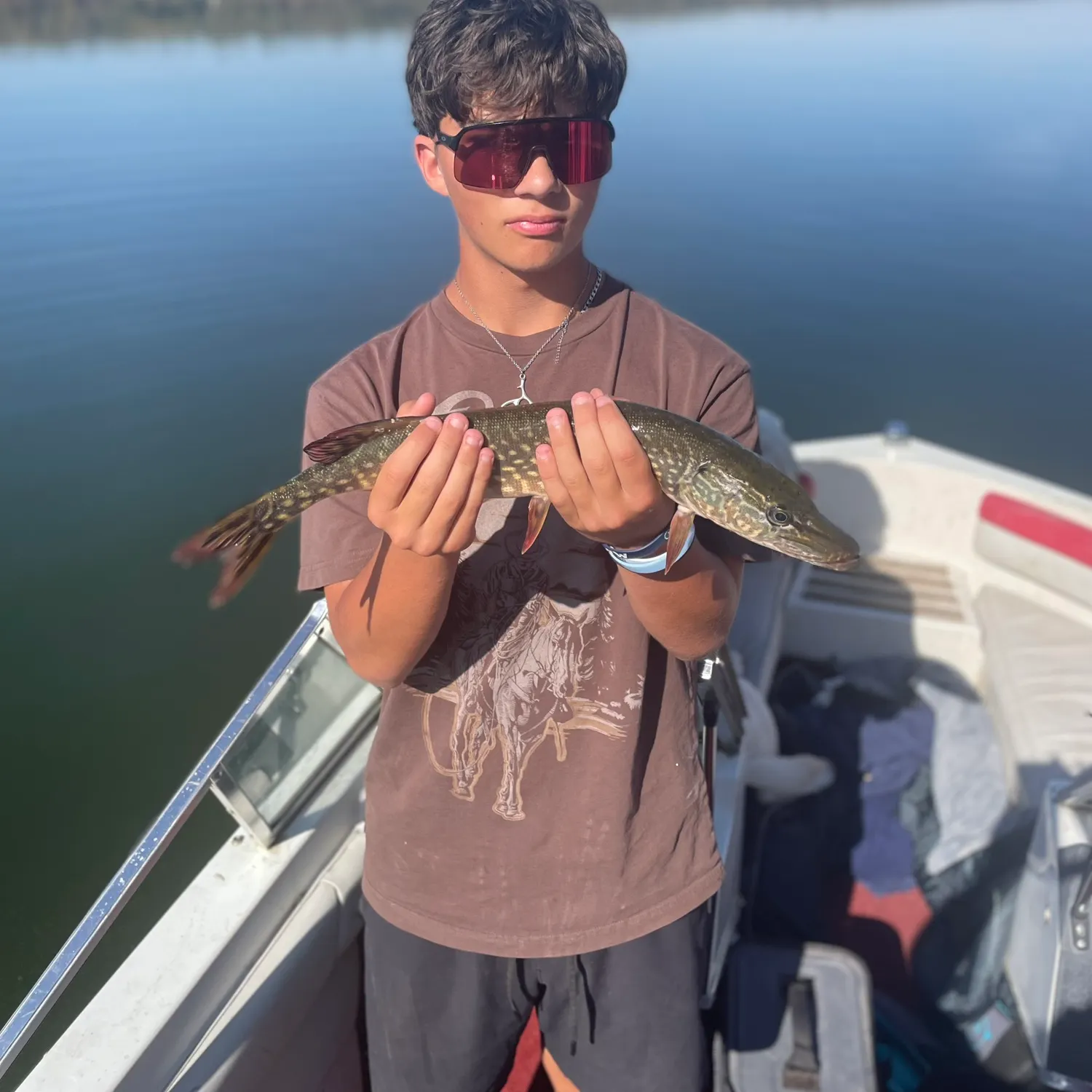 Northern pike caught on Fishbrain