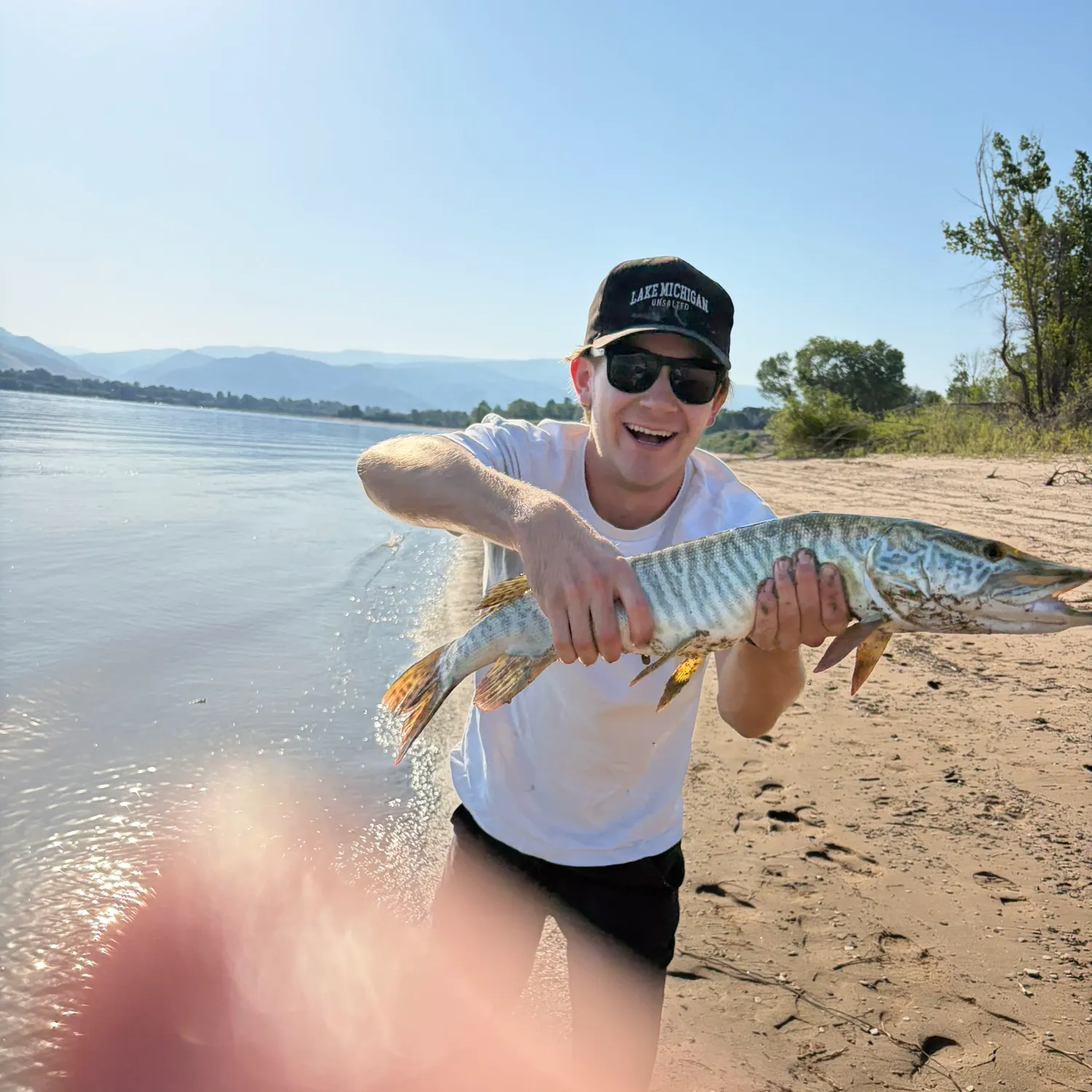 The most recent Tiger muskellunge catches on Fishbrain