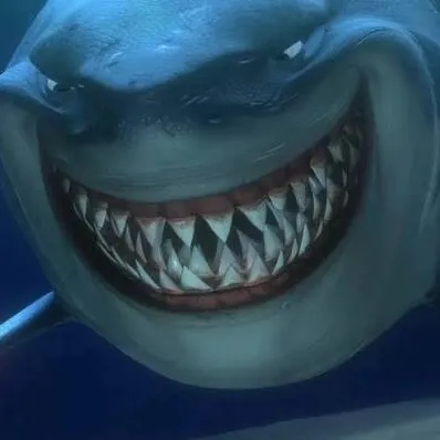 The most recent Great white shark catches on Fishbrain