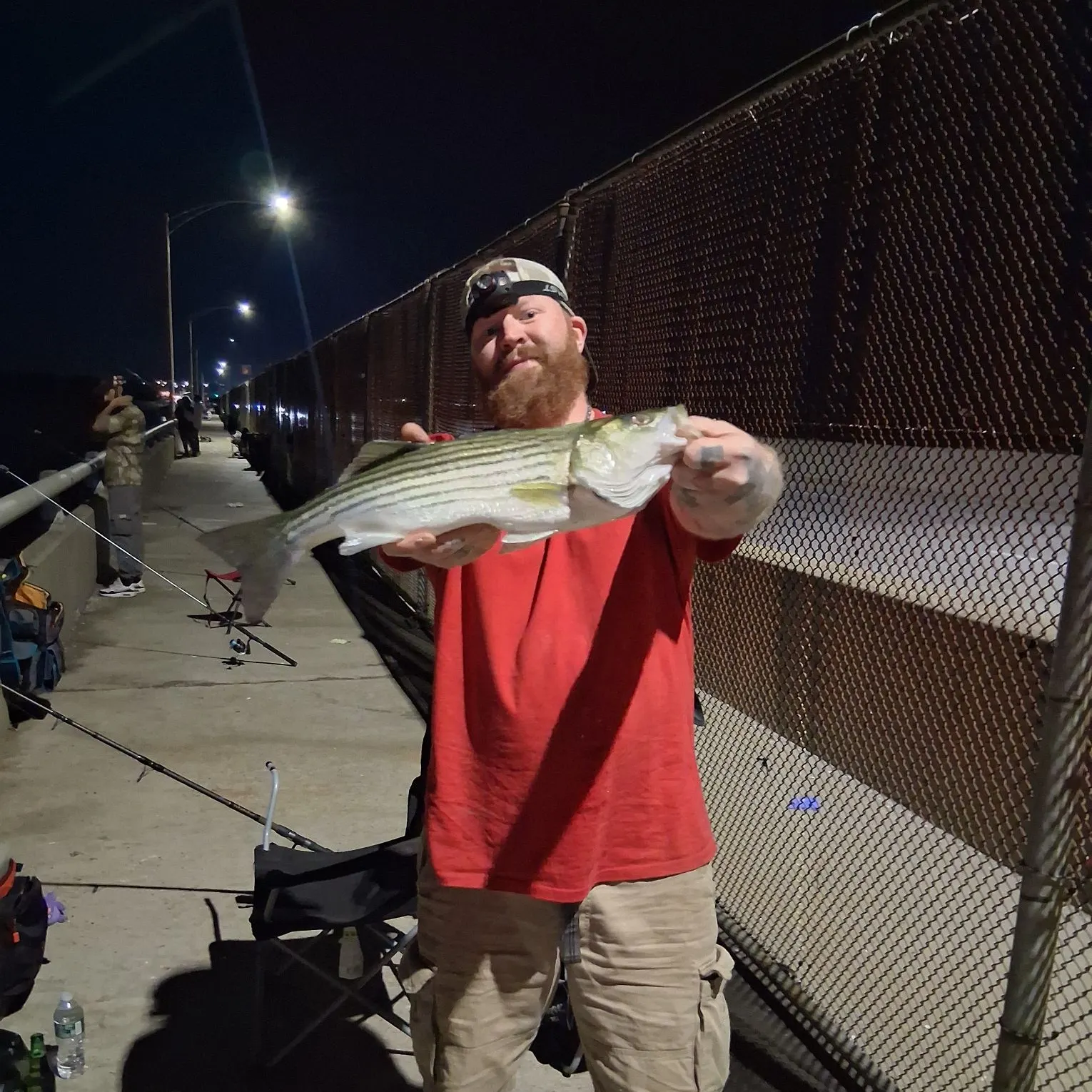 Striped bass caught on Fishbrain