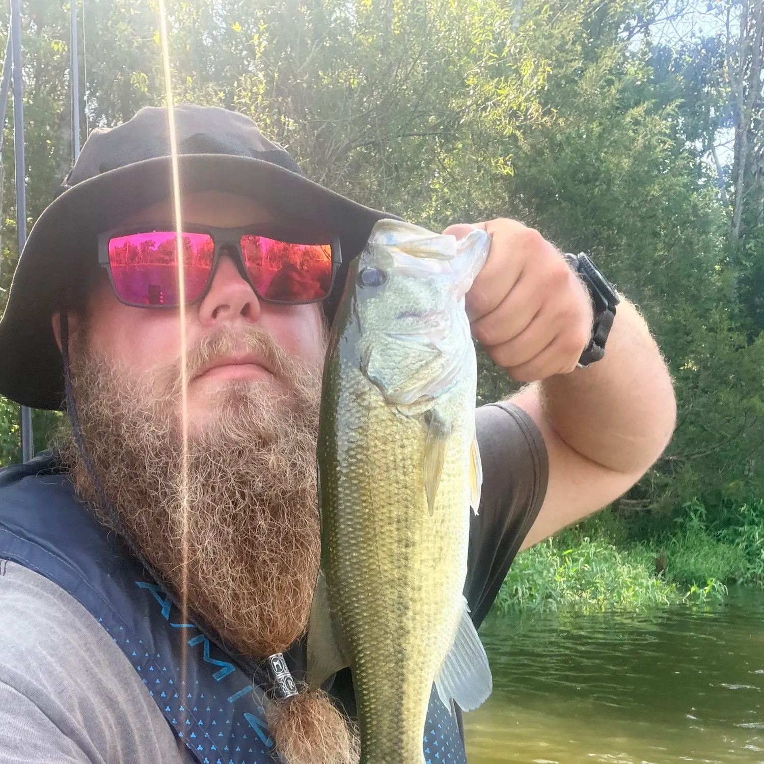 Largemouth bass caught on Fishbrain