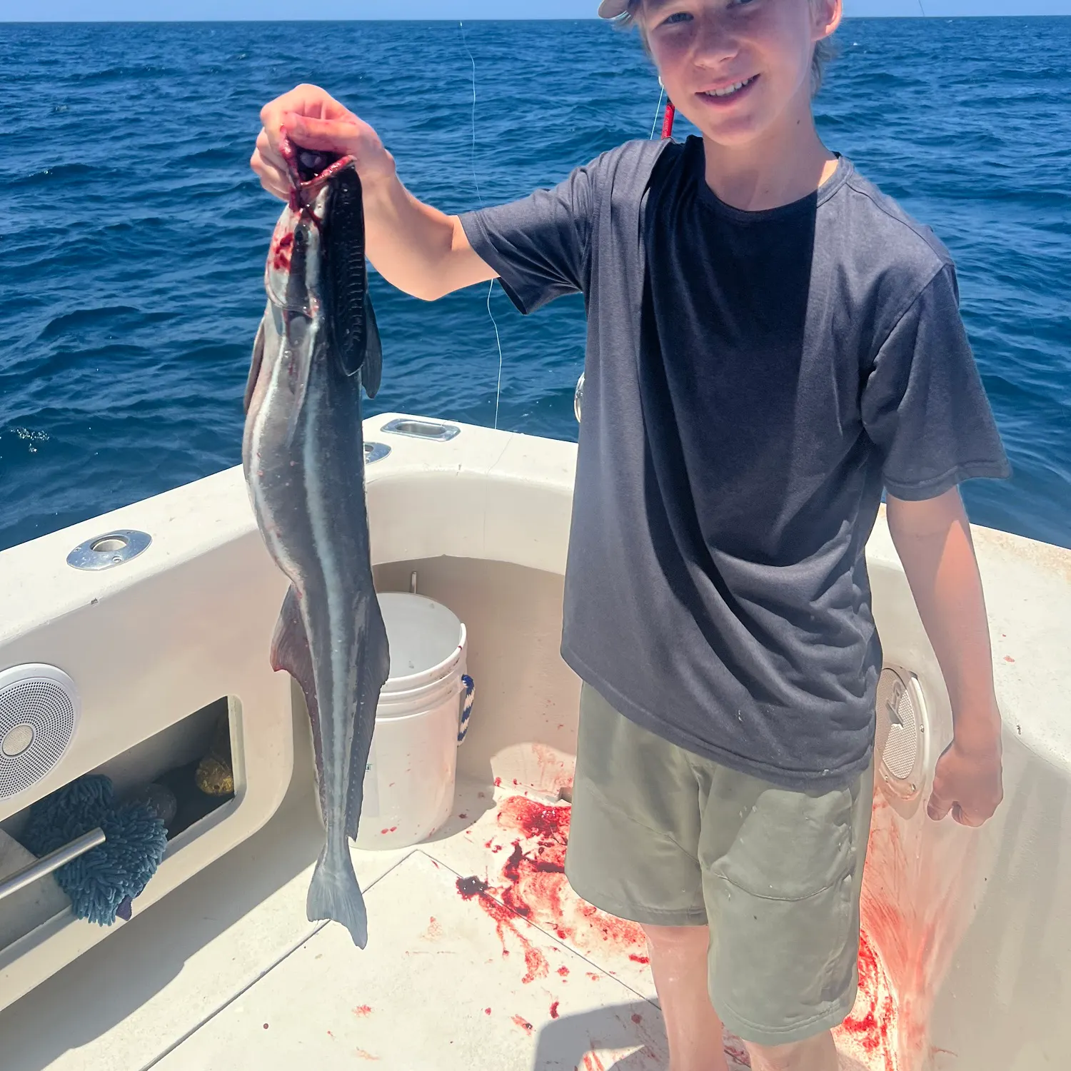 The most recent Live sharksucker catches on Fishbrain