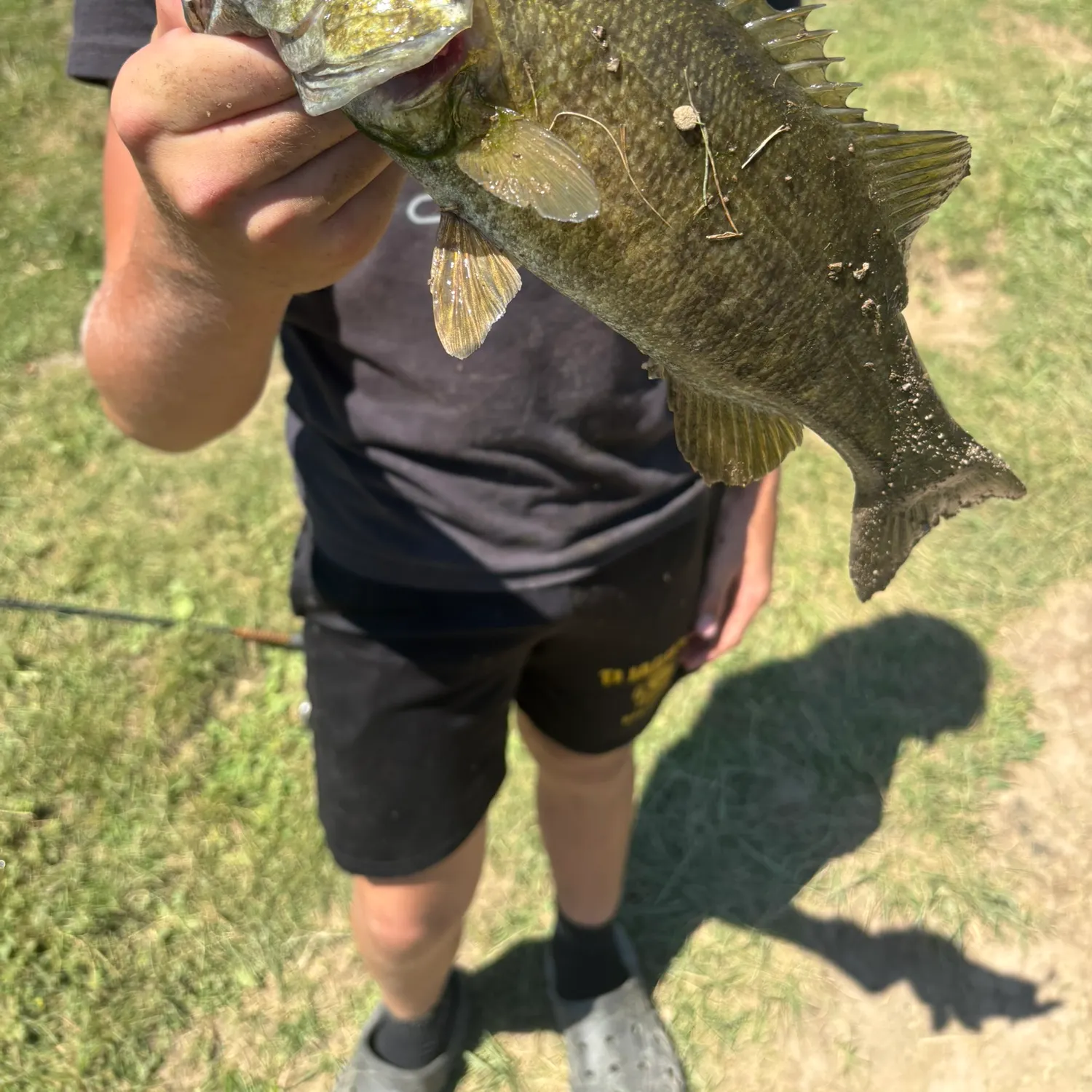 Smallmouth bass caught on Fishbrain
