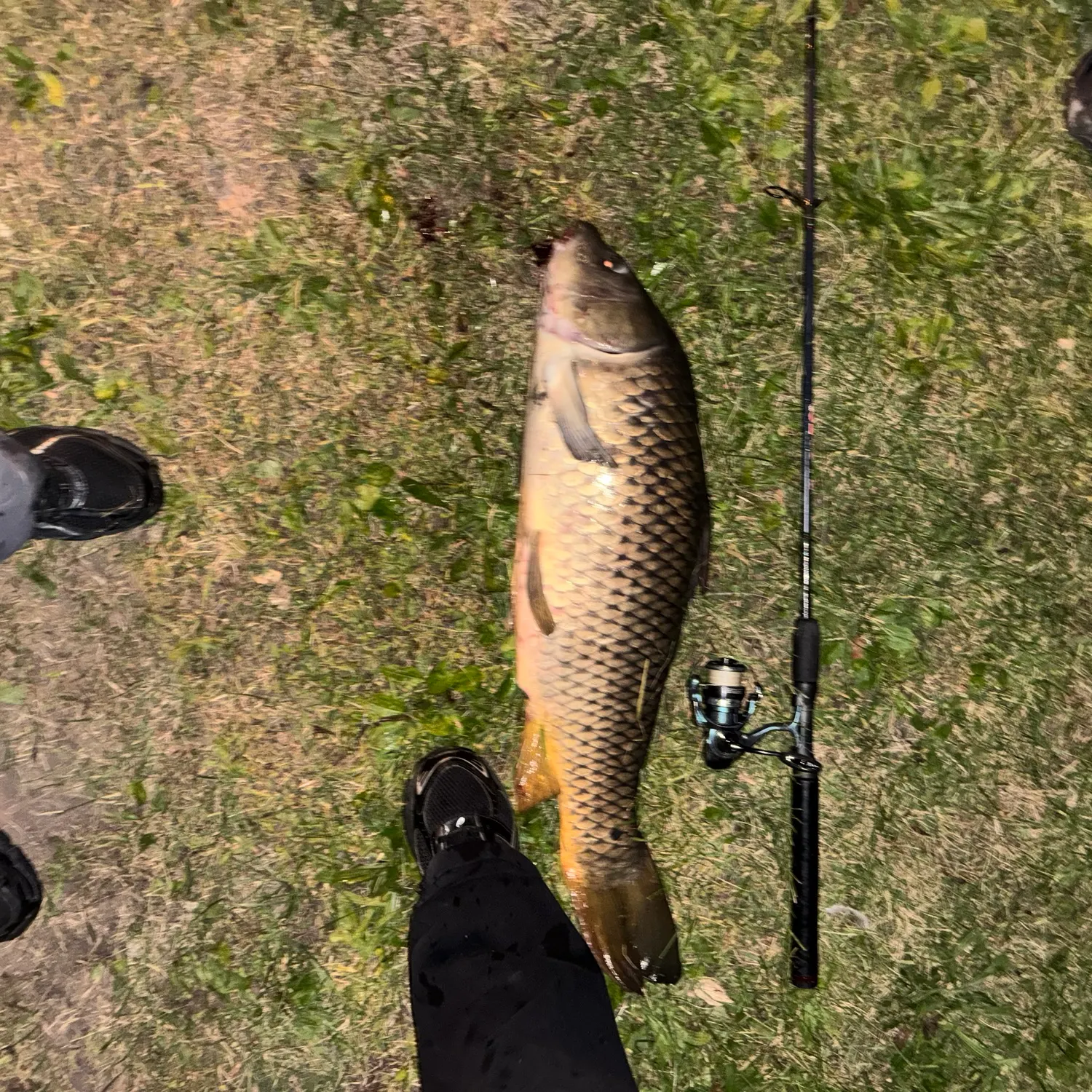 catch