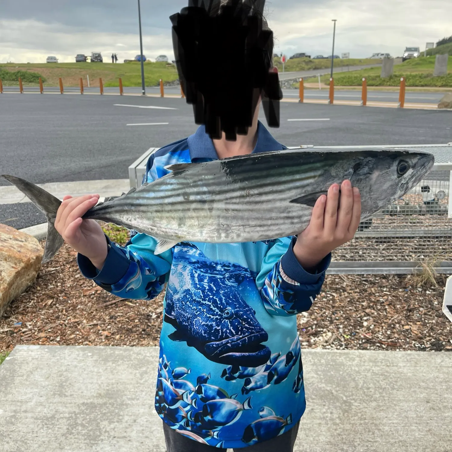 Australian bonito caught on Fishbrain