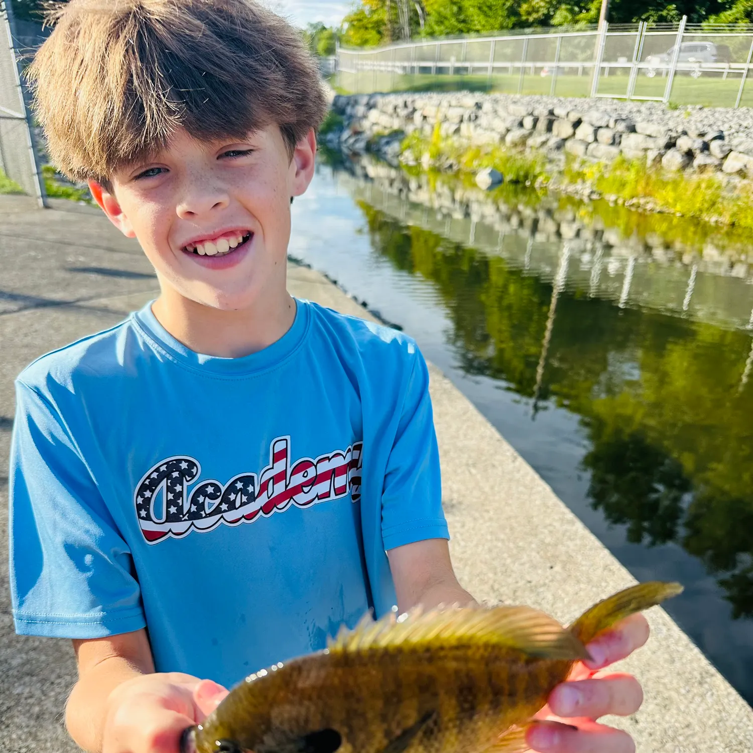Bluegill caught on Fishbrain