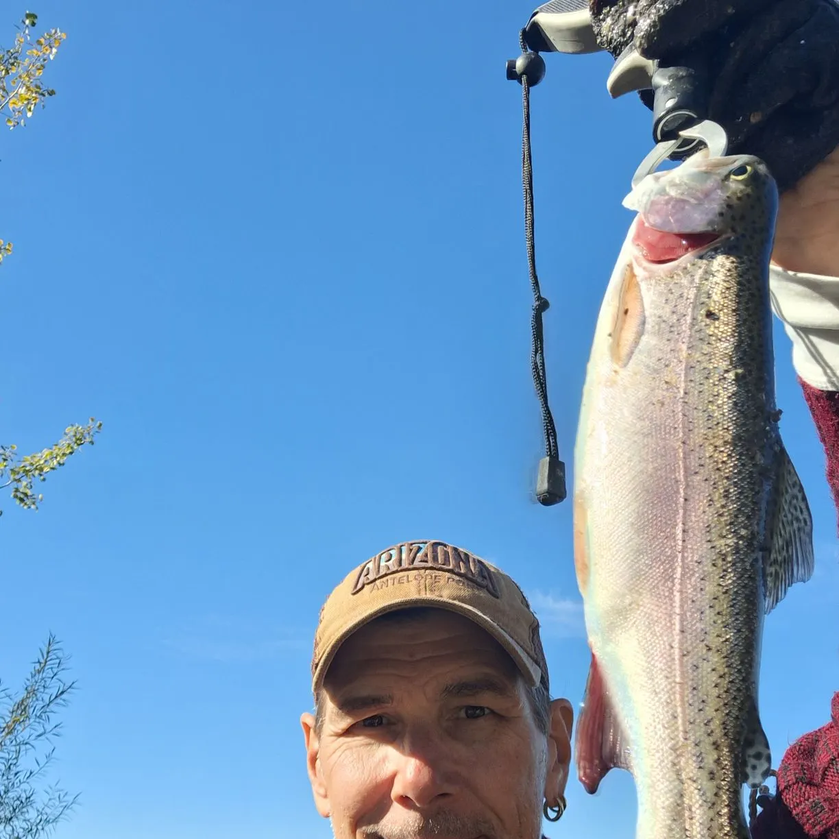 Rainbow trout caught on Fishbrain