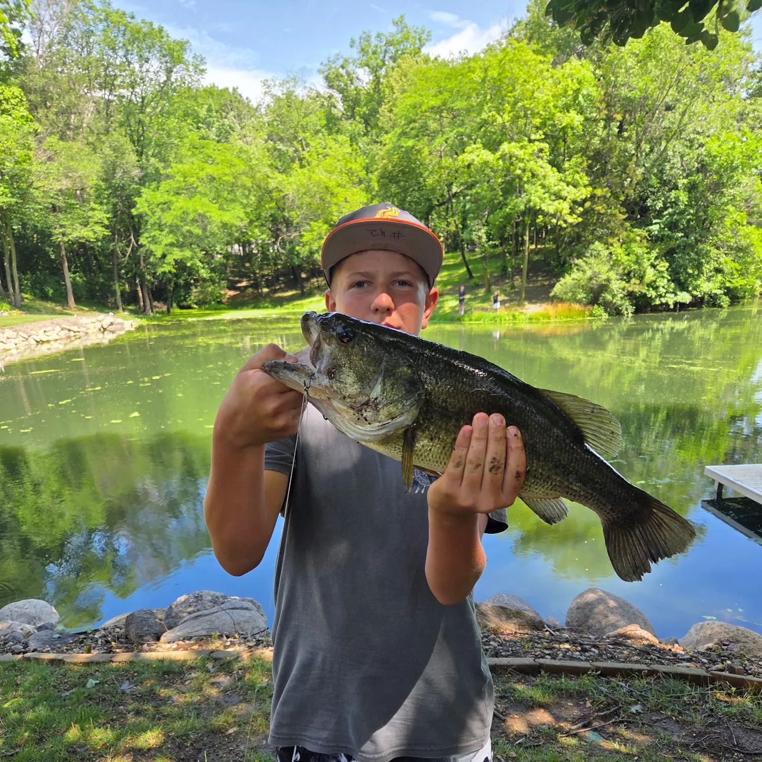 The most recent Common dolphinfish catches on Fishbrain