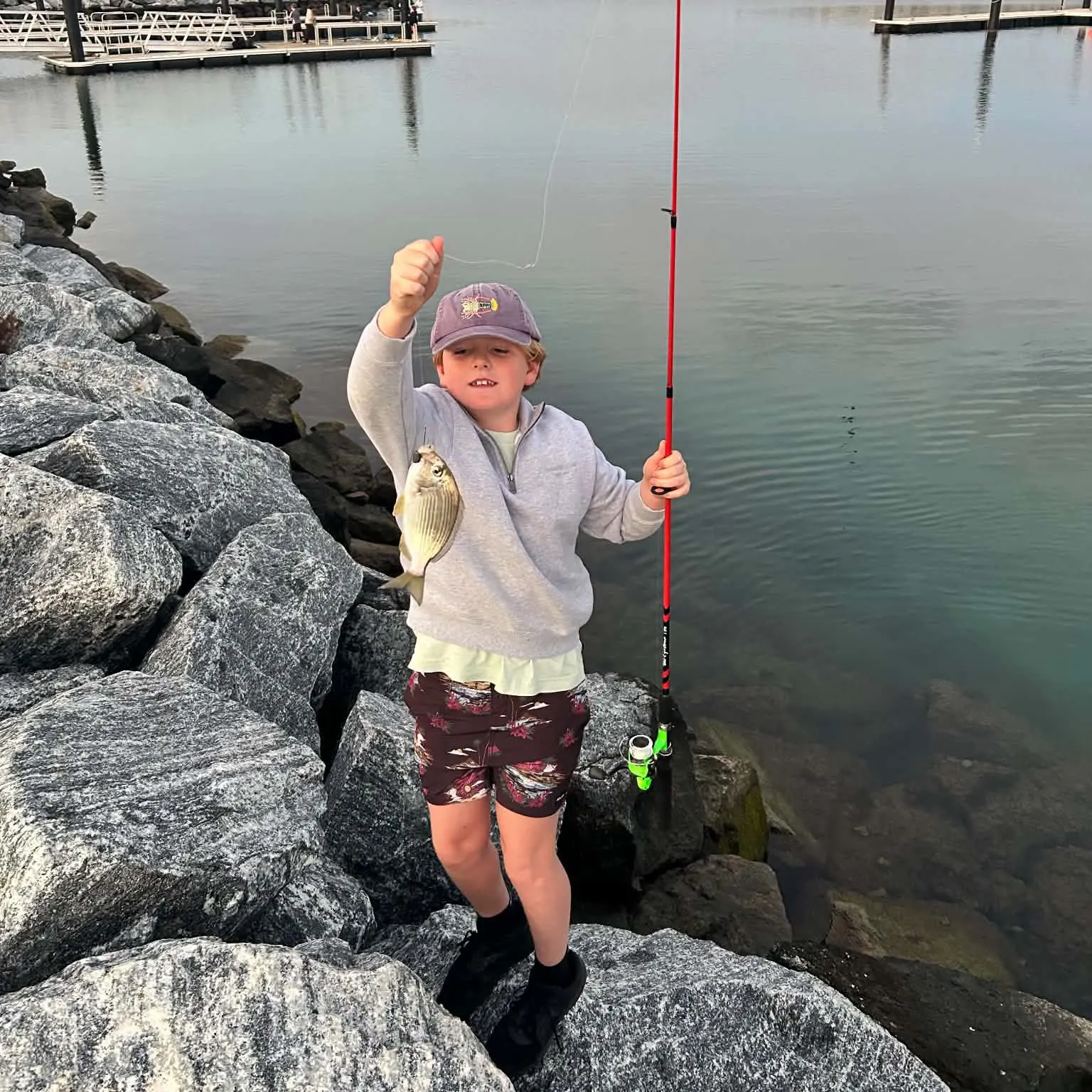 Surf bream caught on Fishbrain