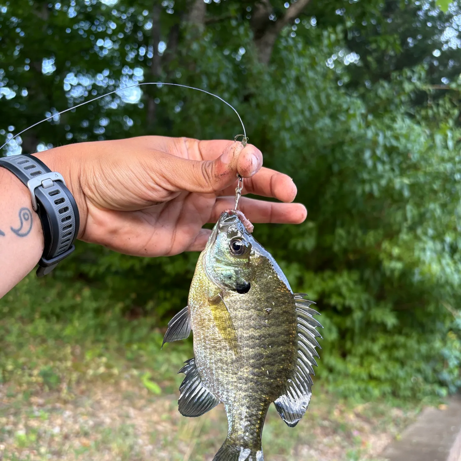 catch