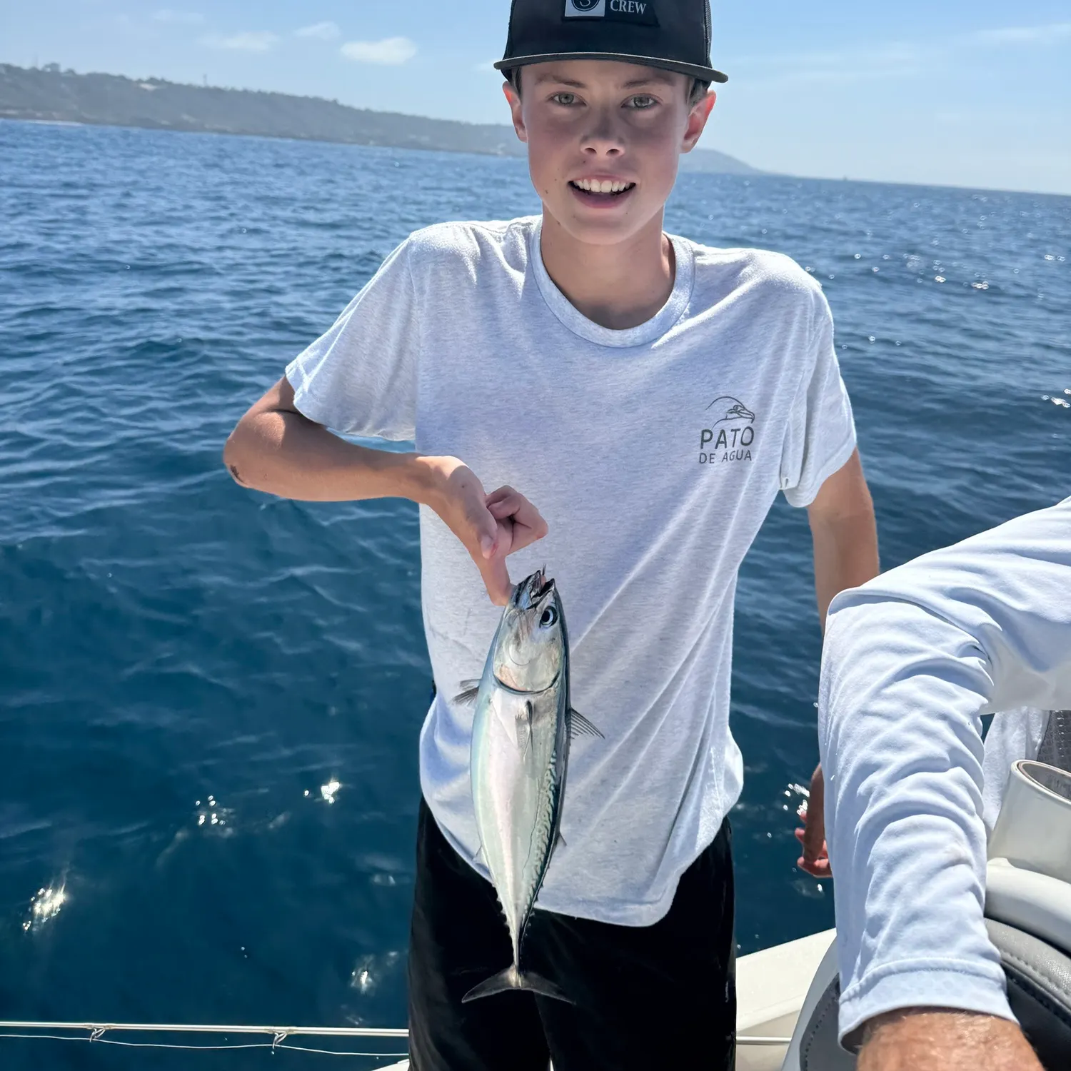 The most recent Bullet tuna catches on Fishbrain