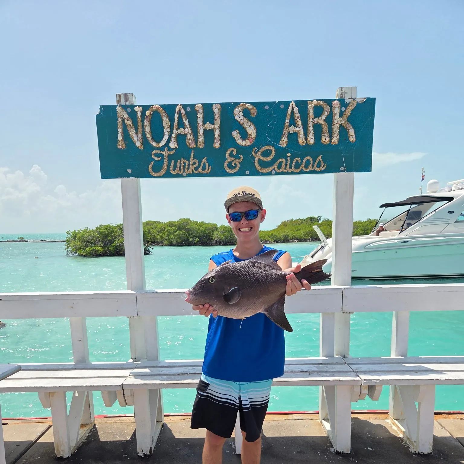 The most recent Ocean triggerfish catches on Fishbrain