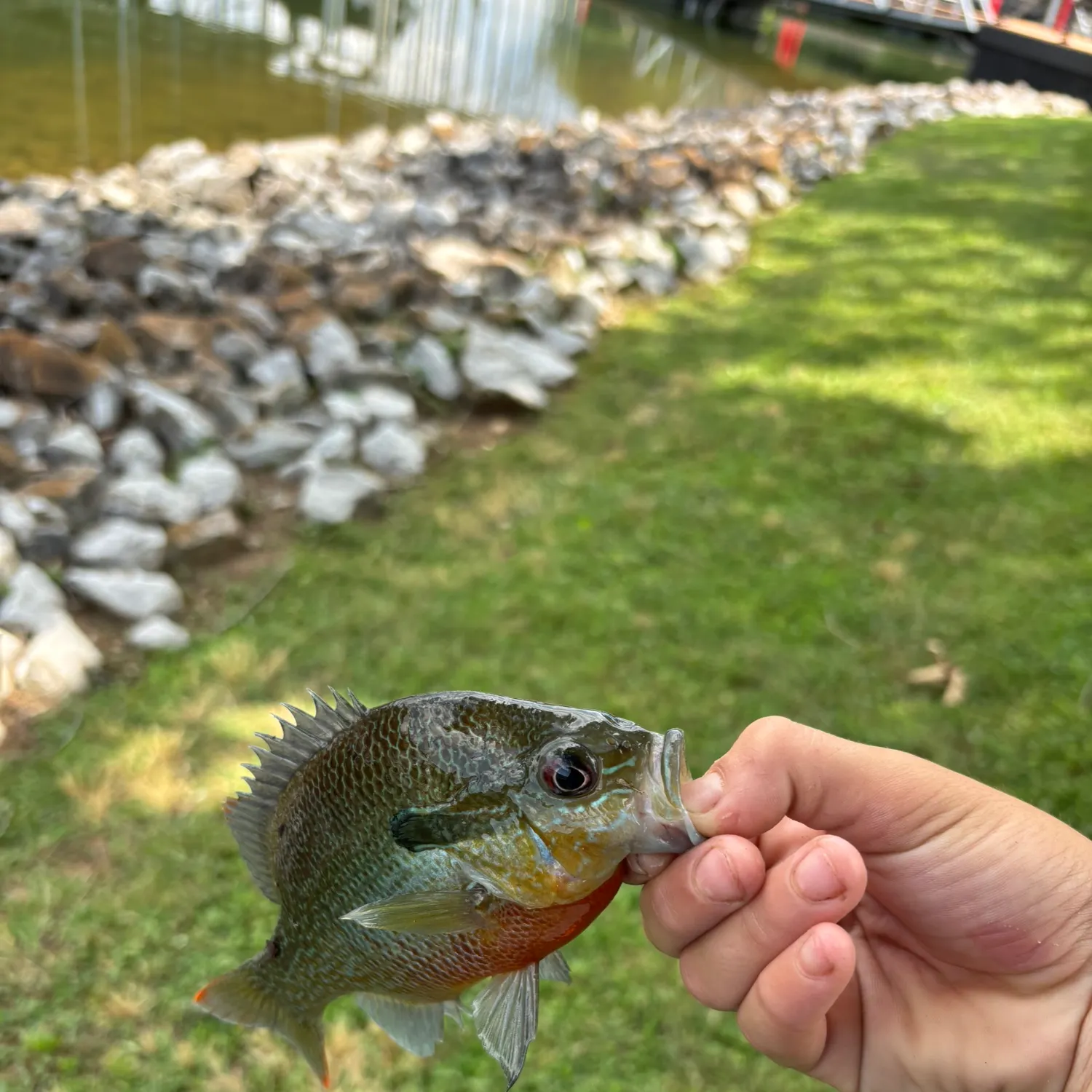 catch