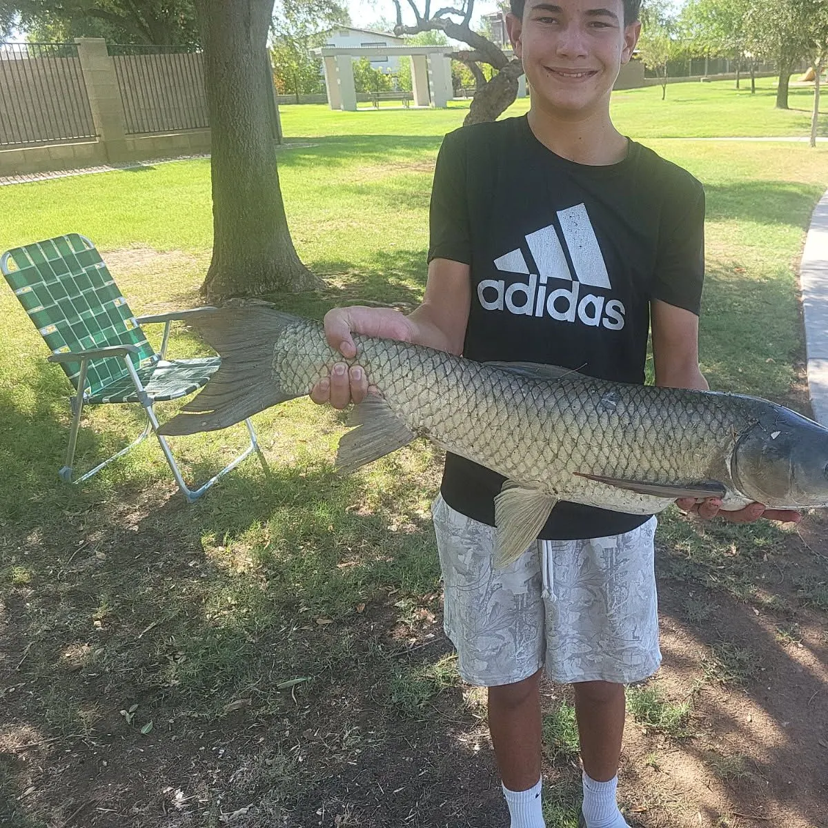 Grass carp caught on Fishbrain
