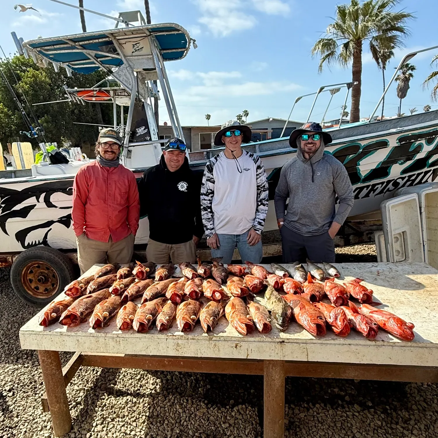 recently logged catches