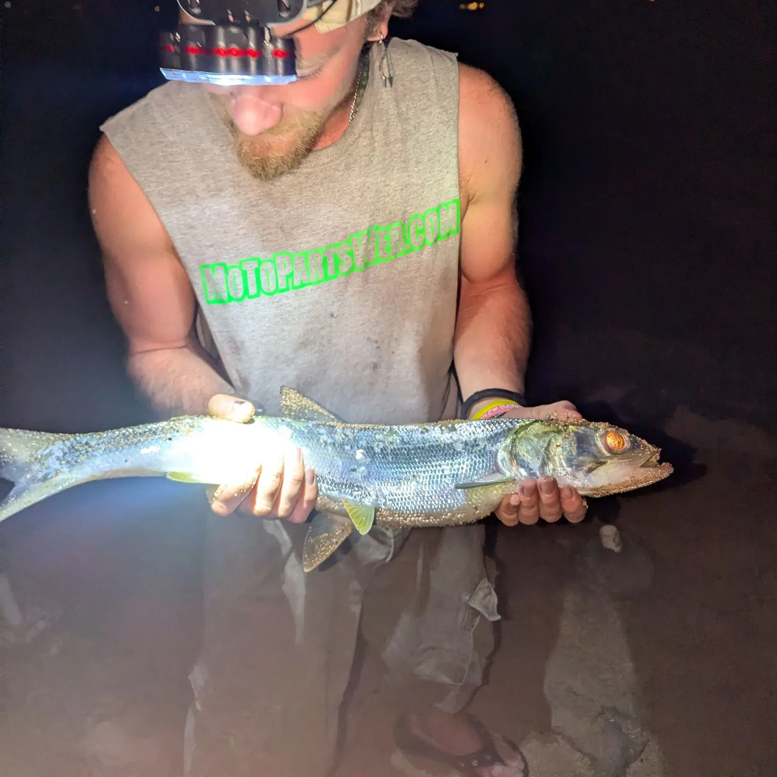 The most recent Hawaiian ladyfish catches on Fishbrain
