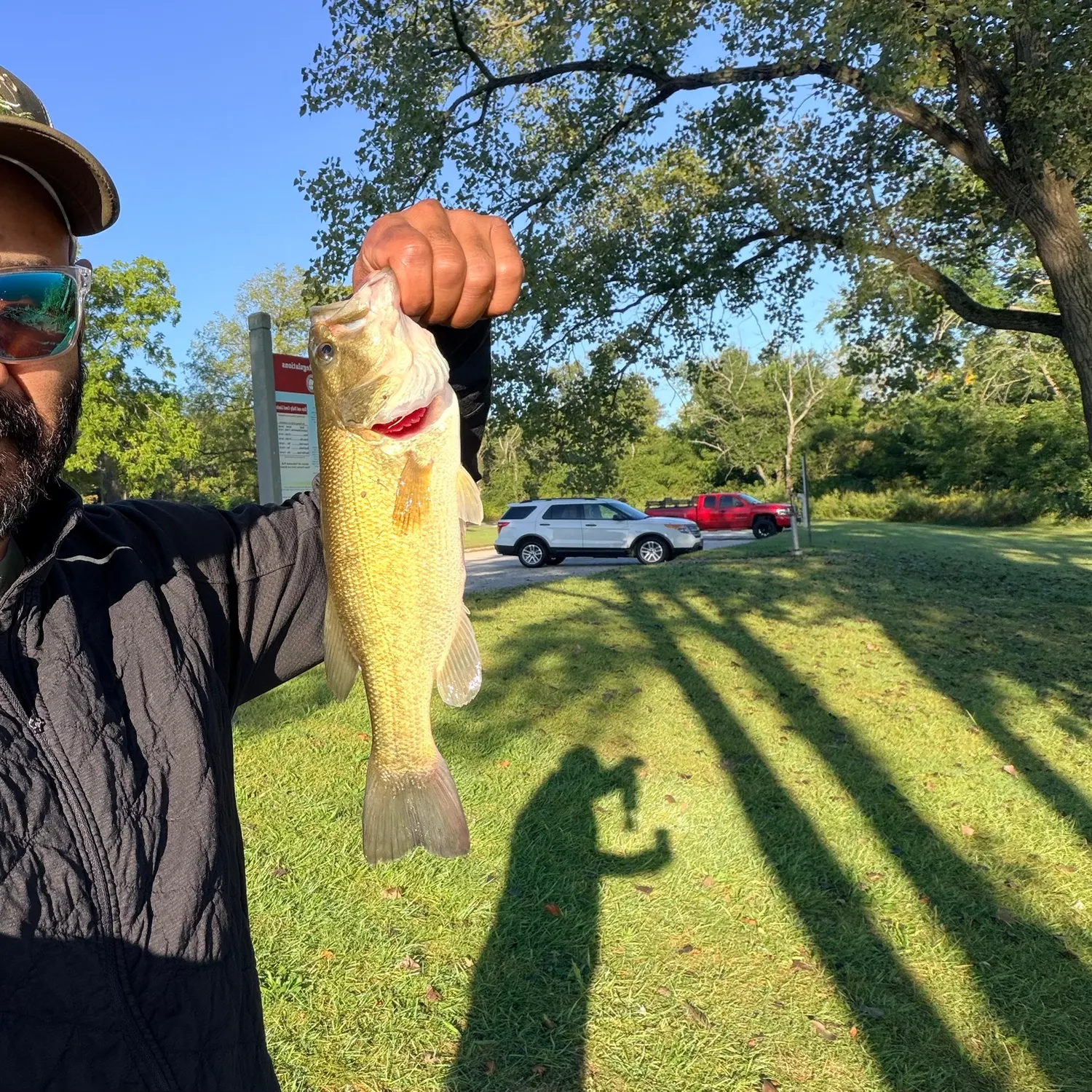 Largemouth bass caught on Fishbrain