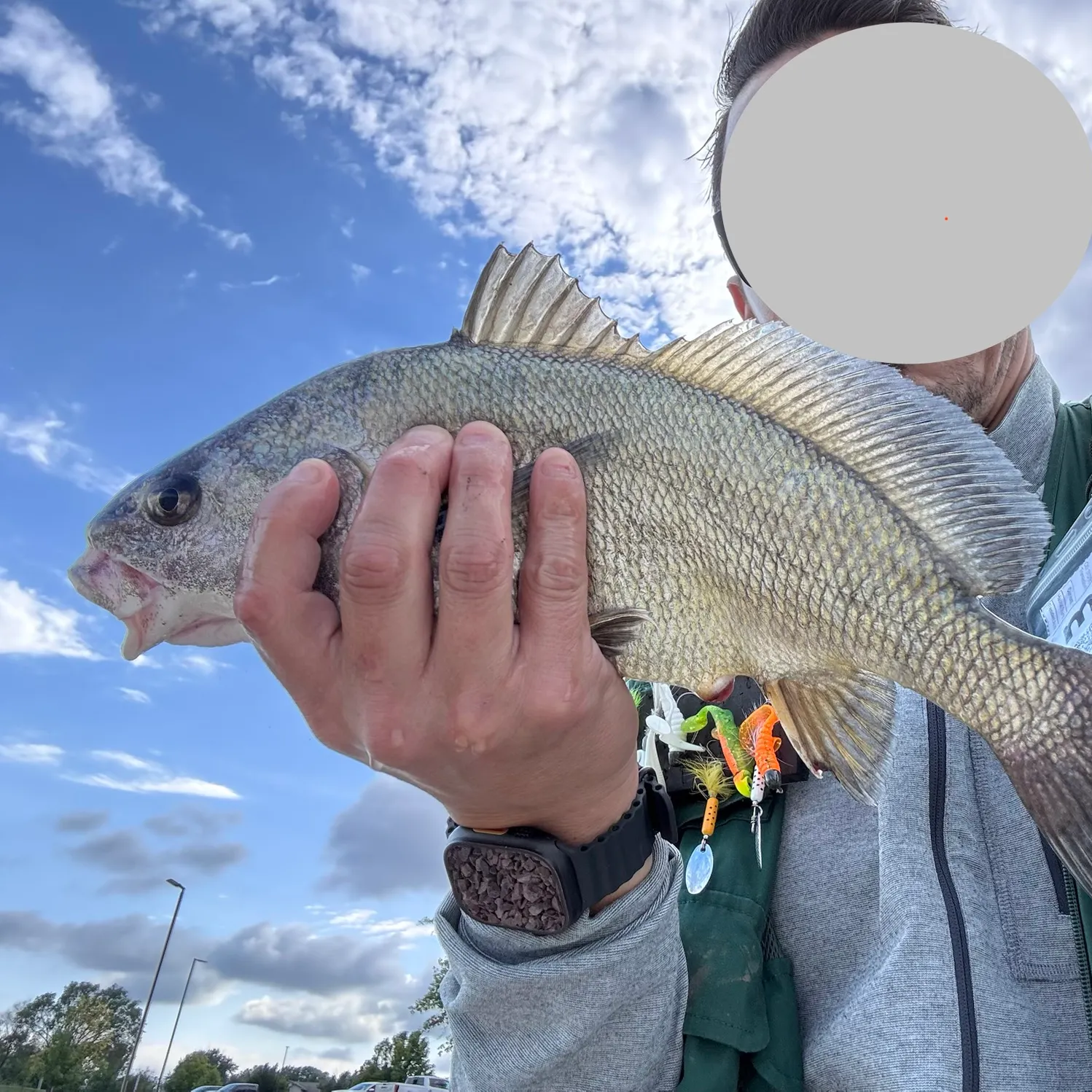 Freshwater drum caught on Fishbrain