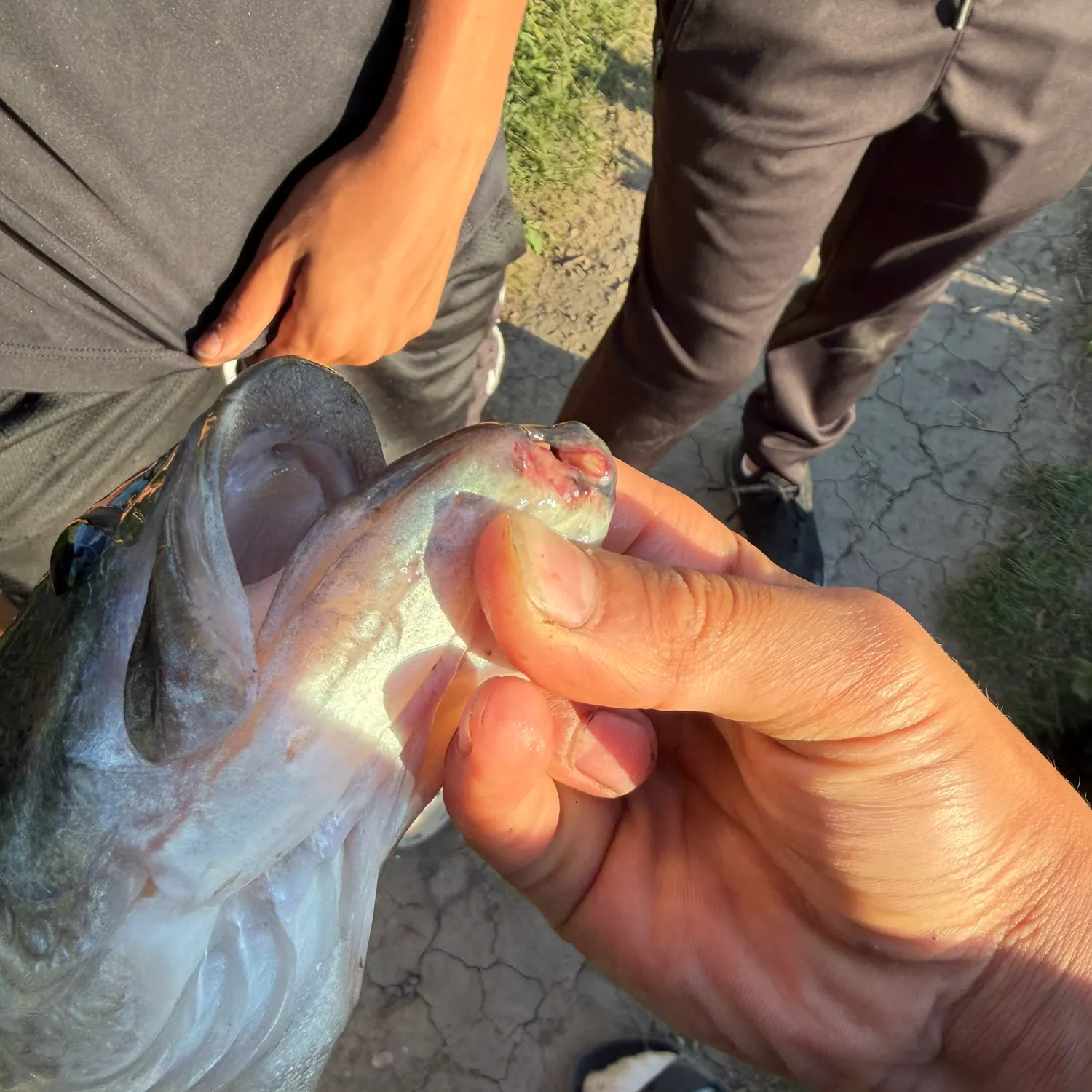 catch