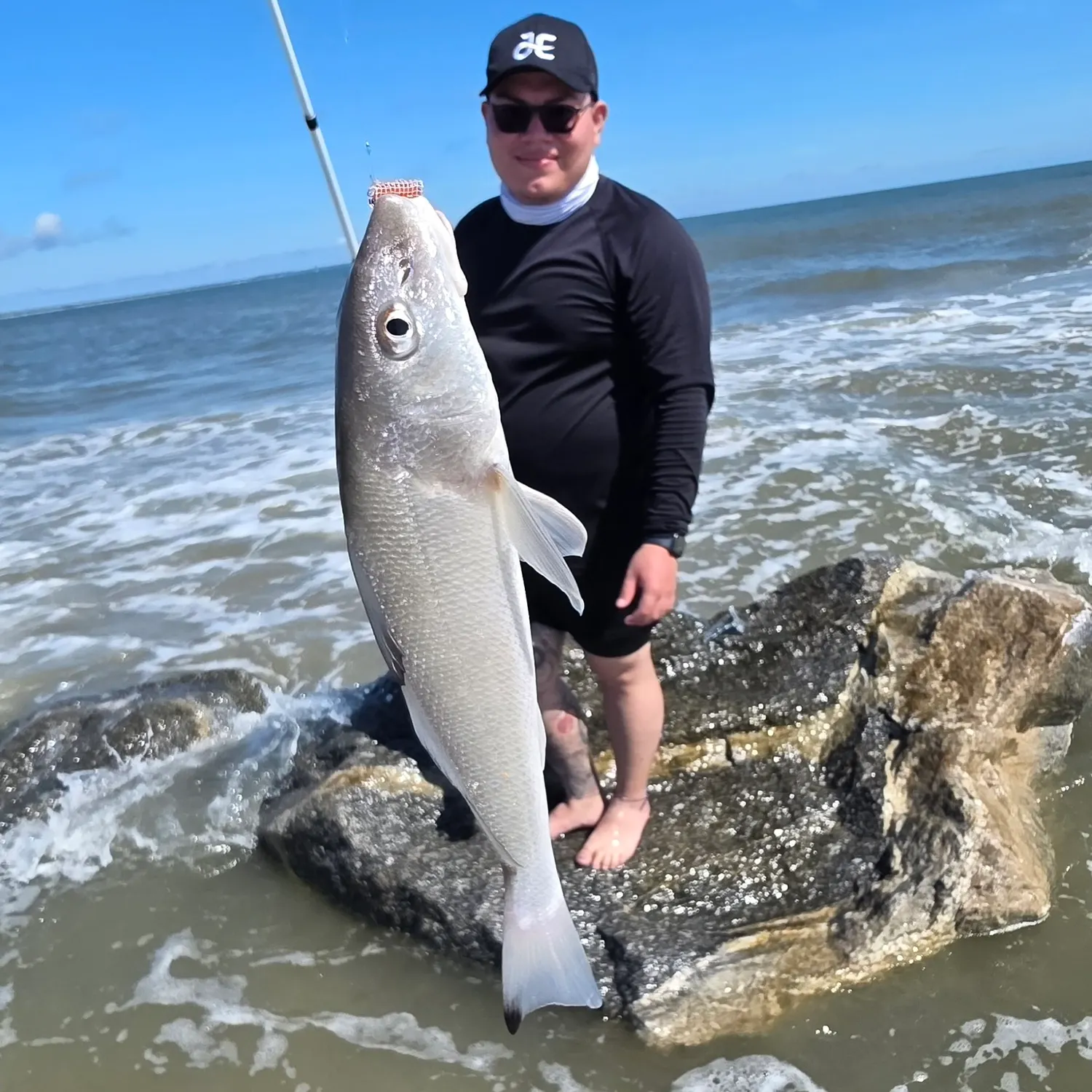 The most recent Gulf kingcroaker catches on Fishbrain