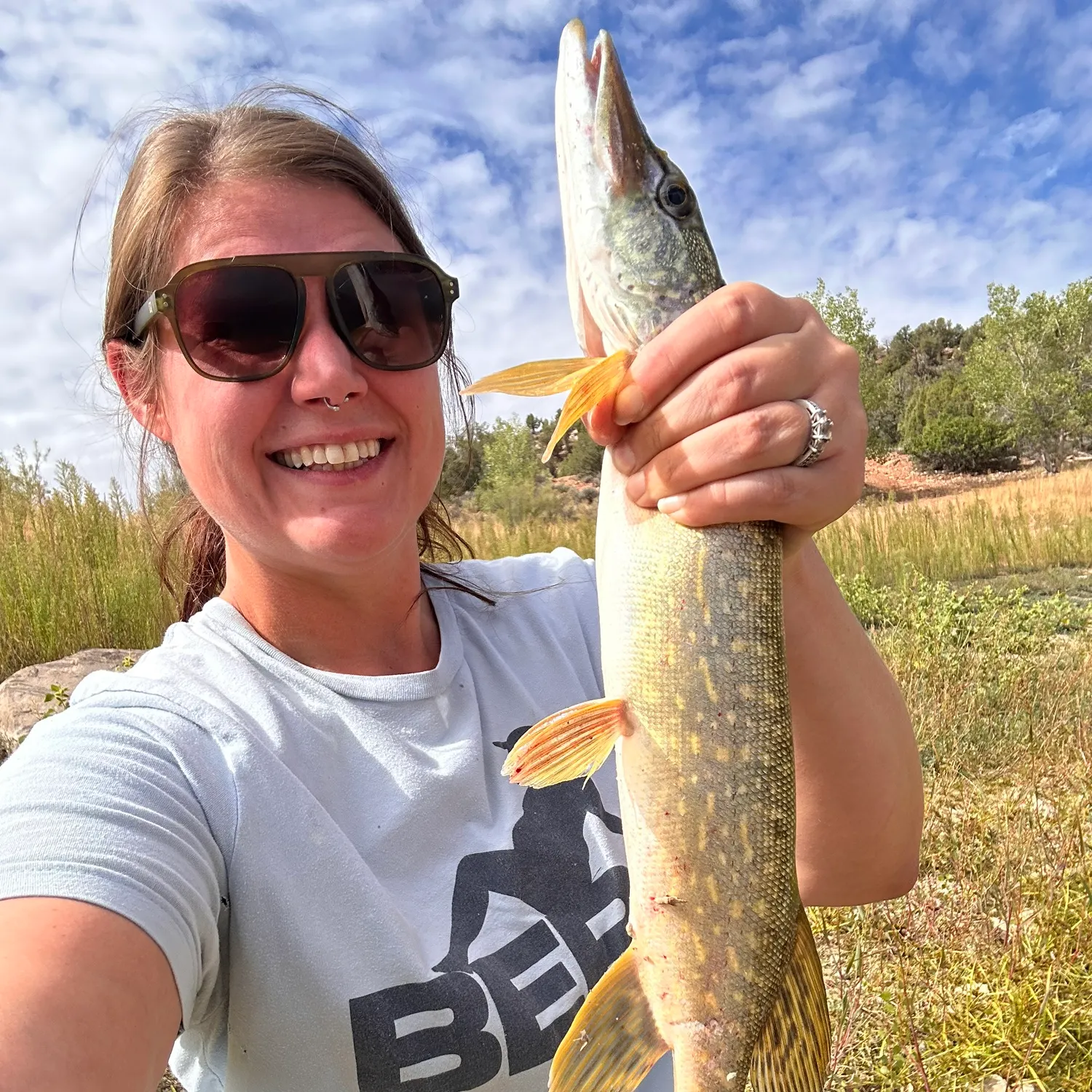 Northern pike caught on Fishbrain