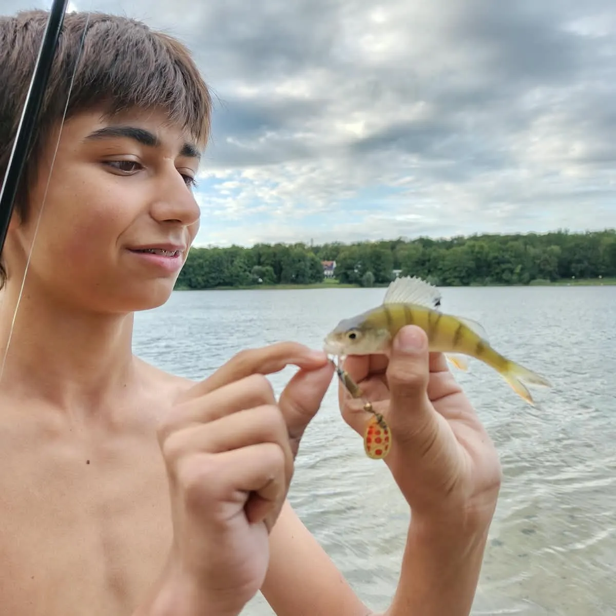 European perch caught on Fishbrain