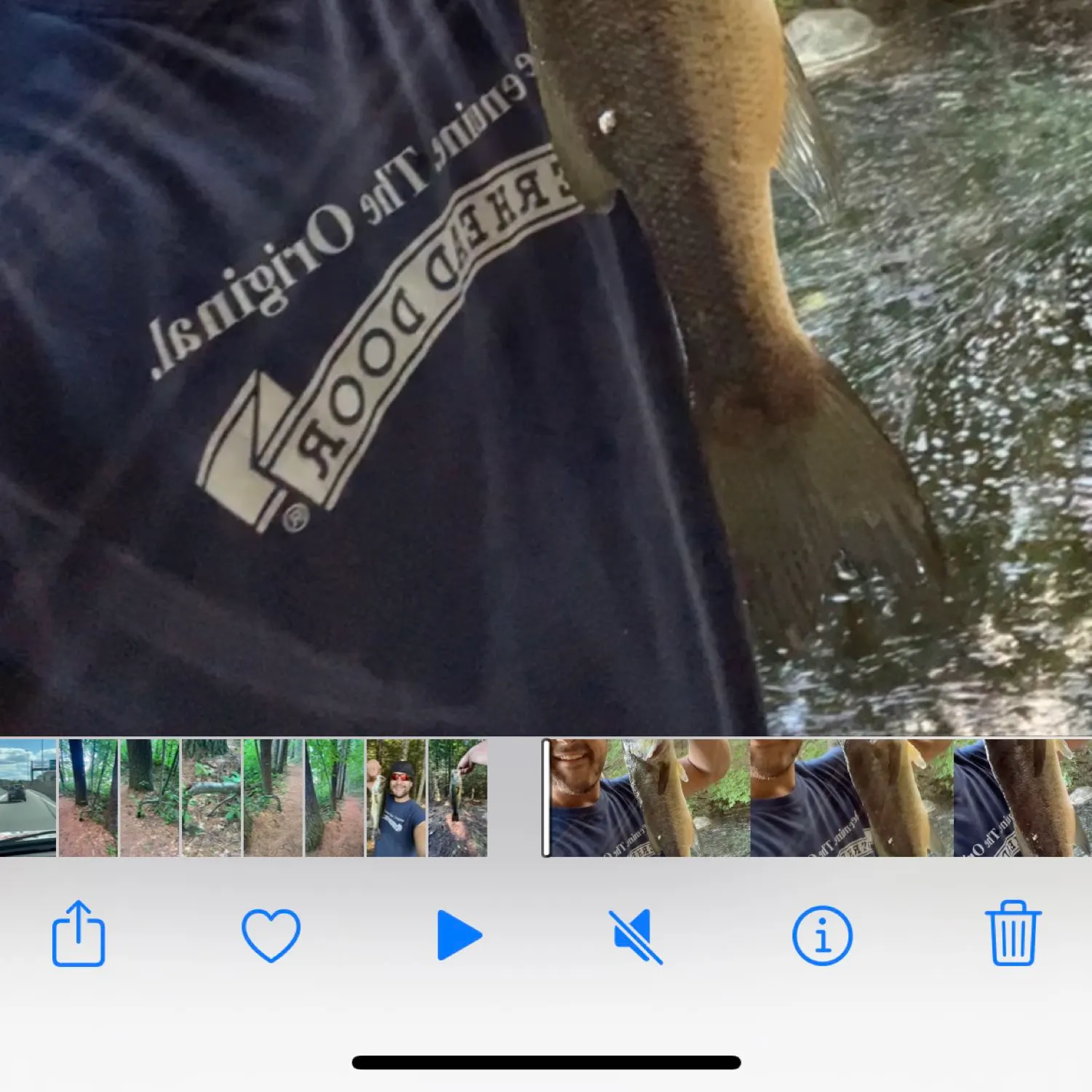 recently logged catches