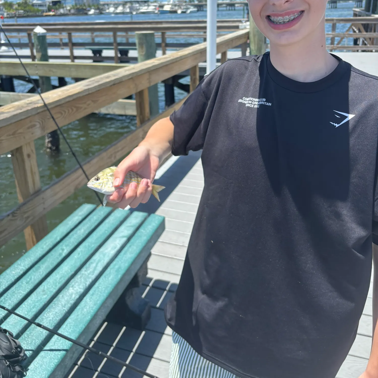 Pinfish caught on Fishbrain