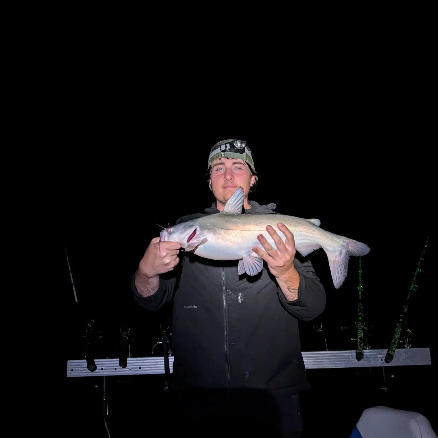 Blue catfish caught on Fishbrain