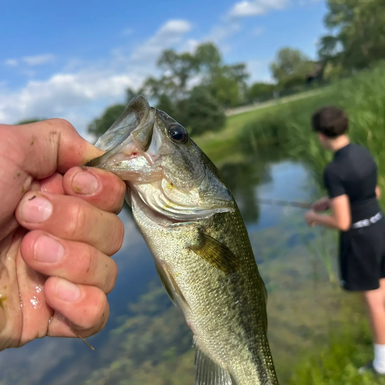 catch