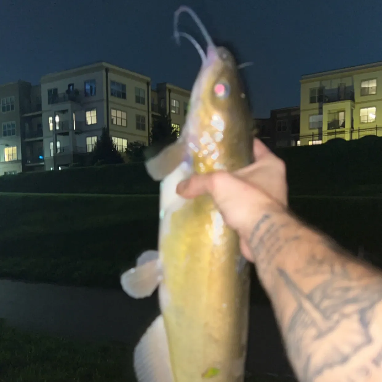 catch