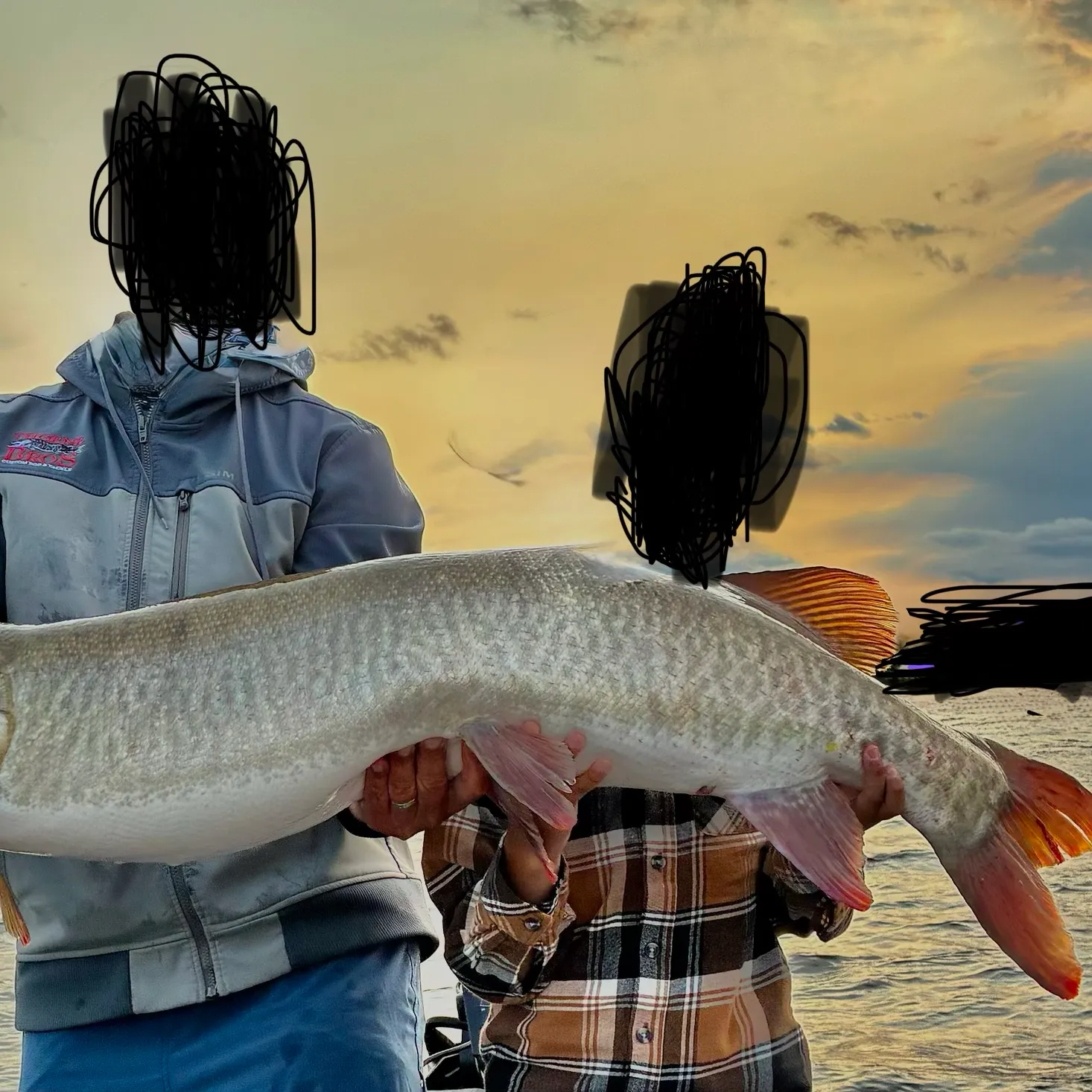 Muskie caught on Fishbrain