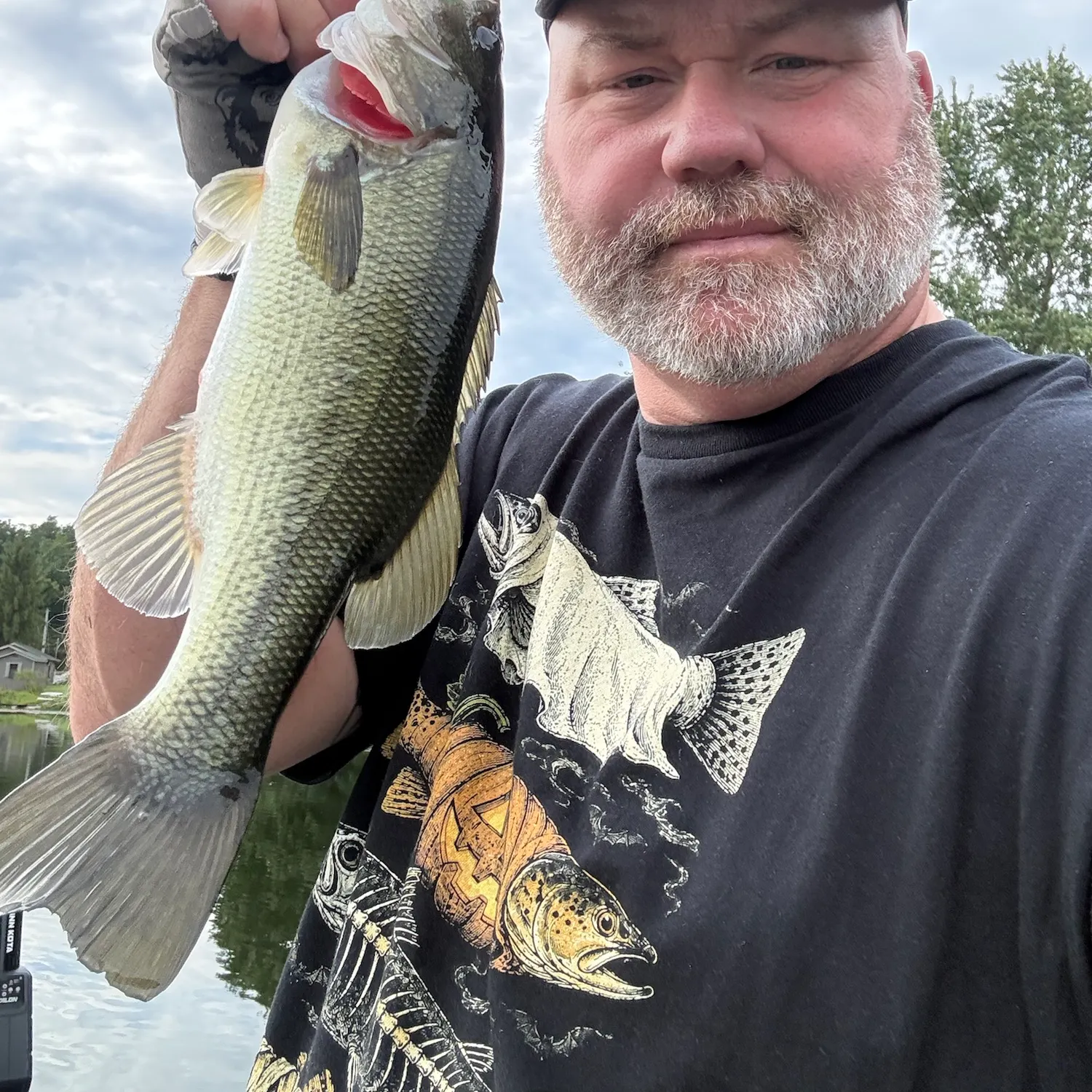 Largemouth bass caught on Fishbrain
